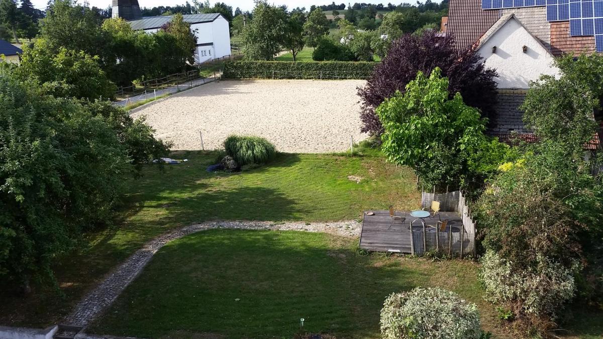 Apartment with Terrace photo 1