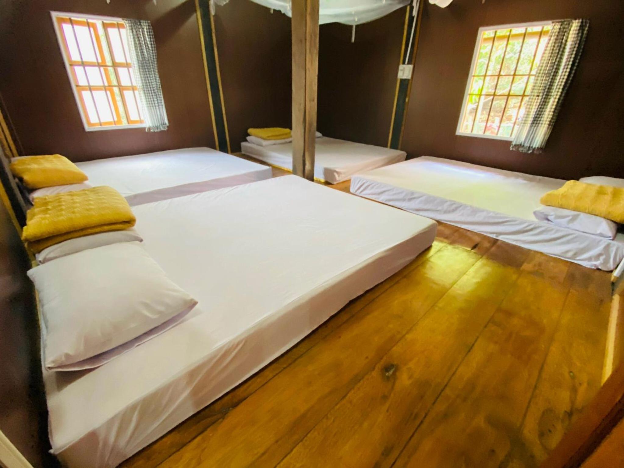 4-Bed Mixed Dormitory Room photo 3