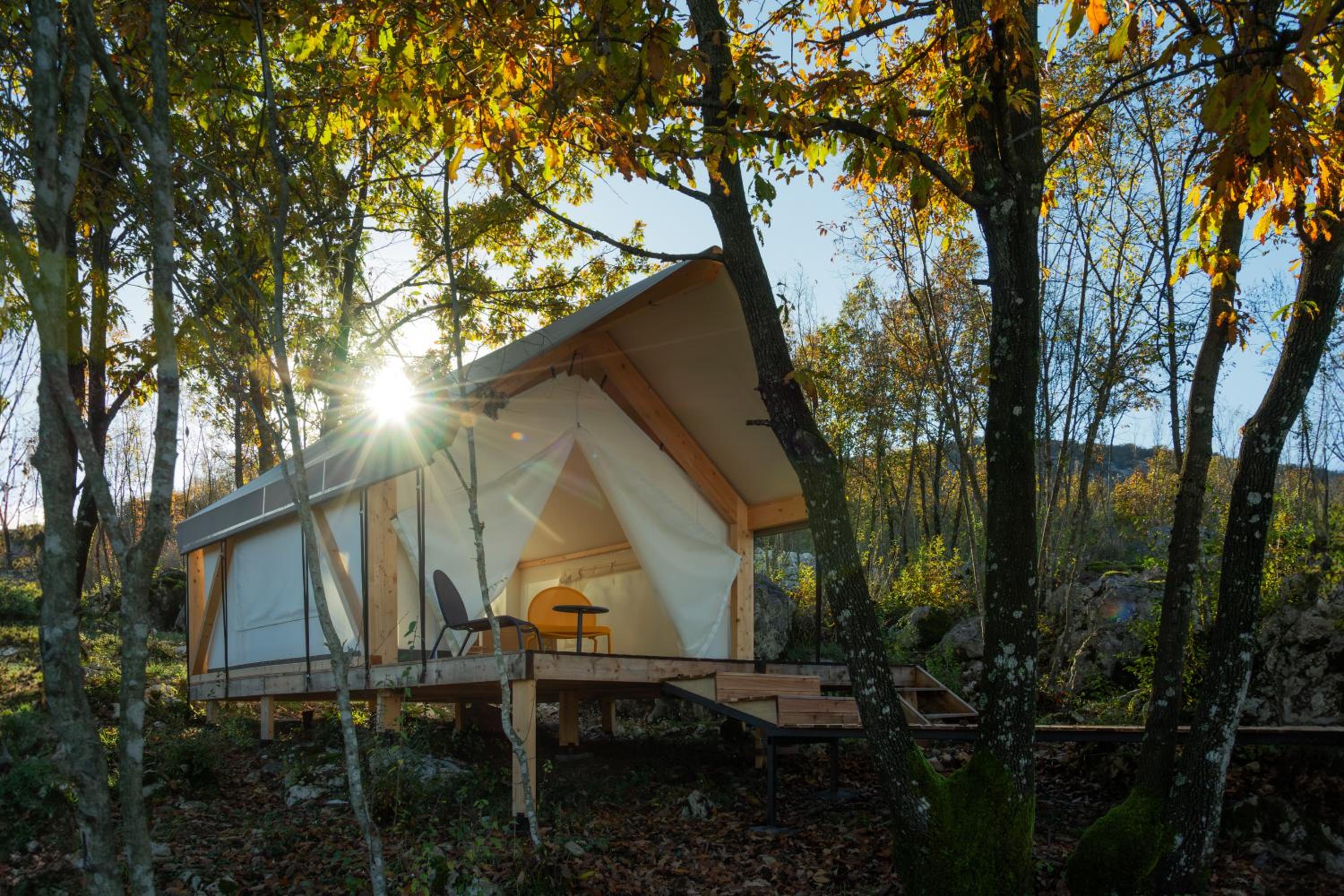 Medium Tent photo 1