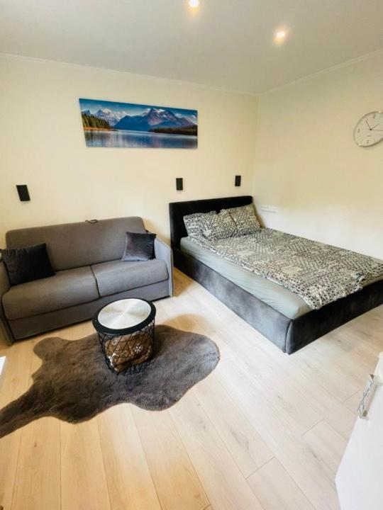 One-Bedroom Apartment - Photo 11