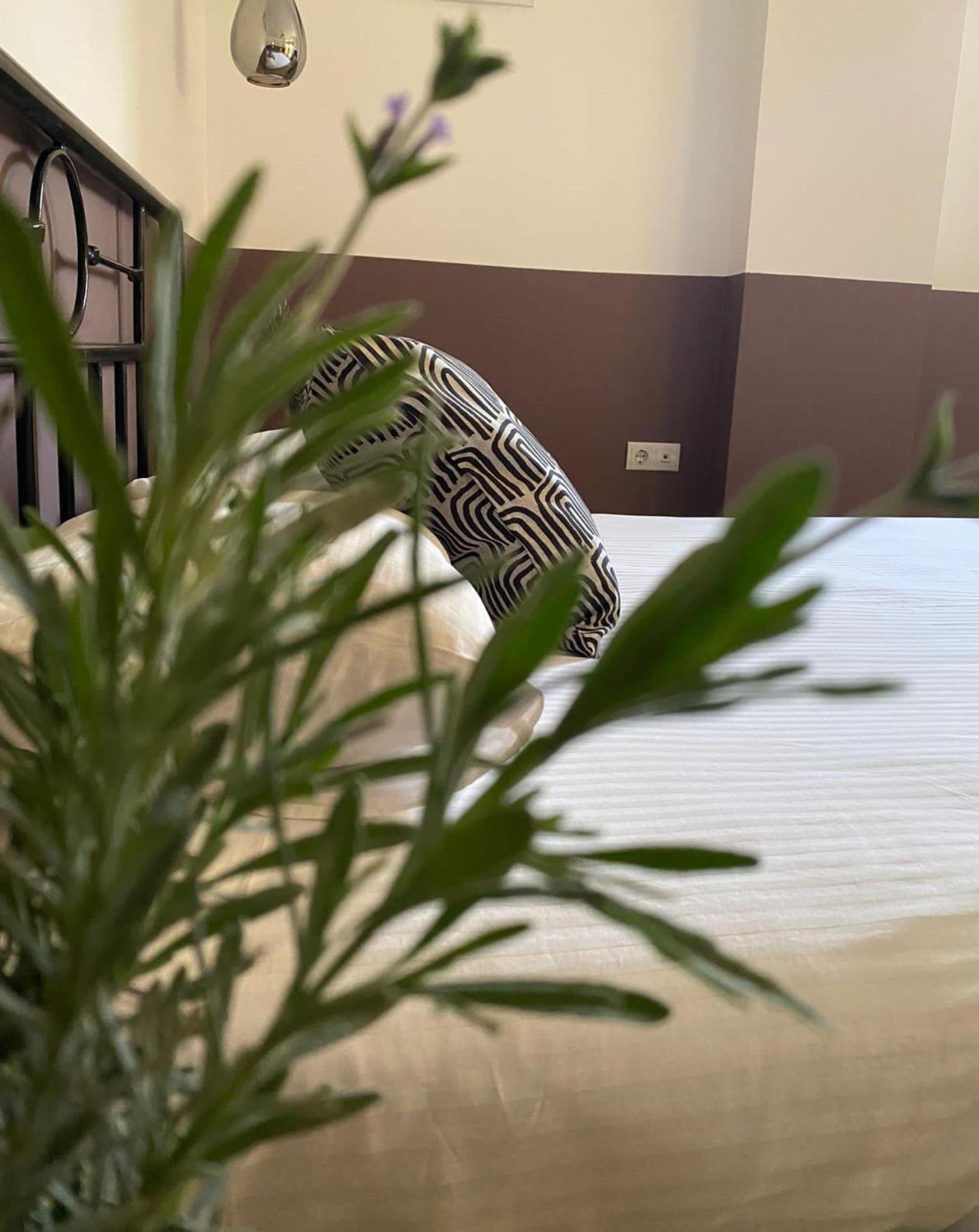 Standard Double Room - Photo 12