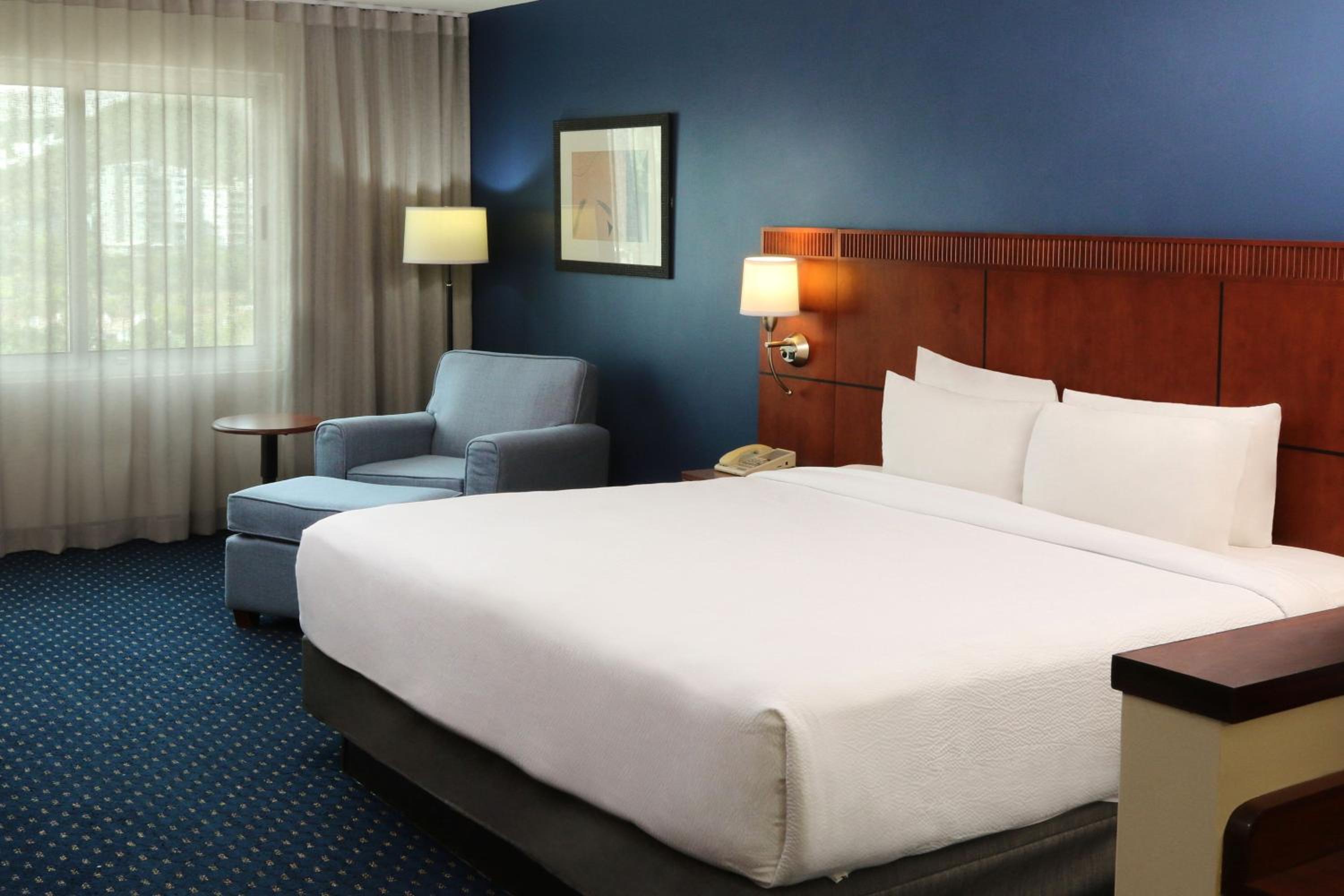 King Suite with Sofa Bed - Photo 2