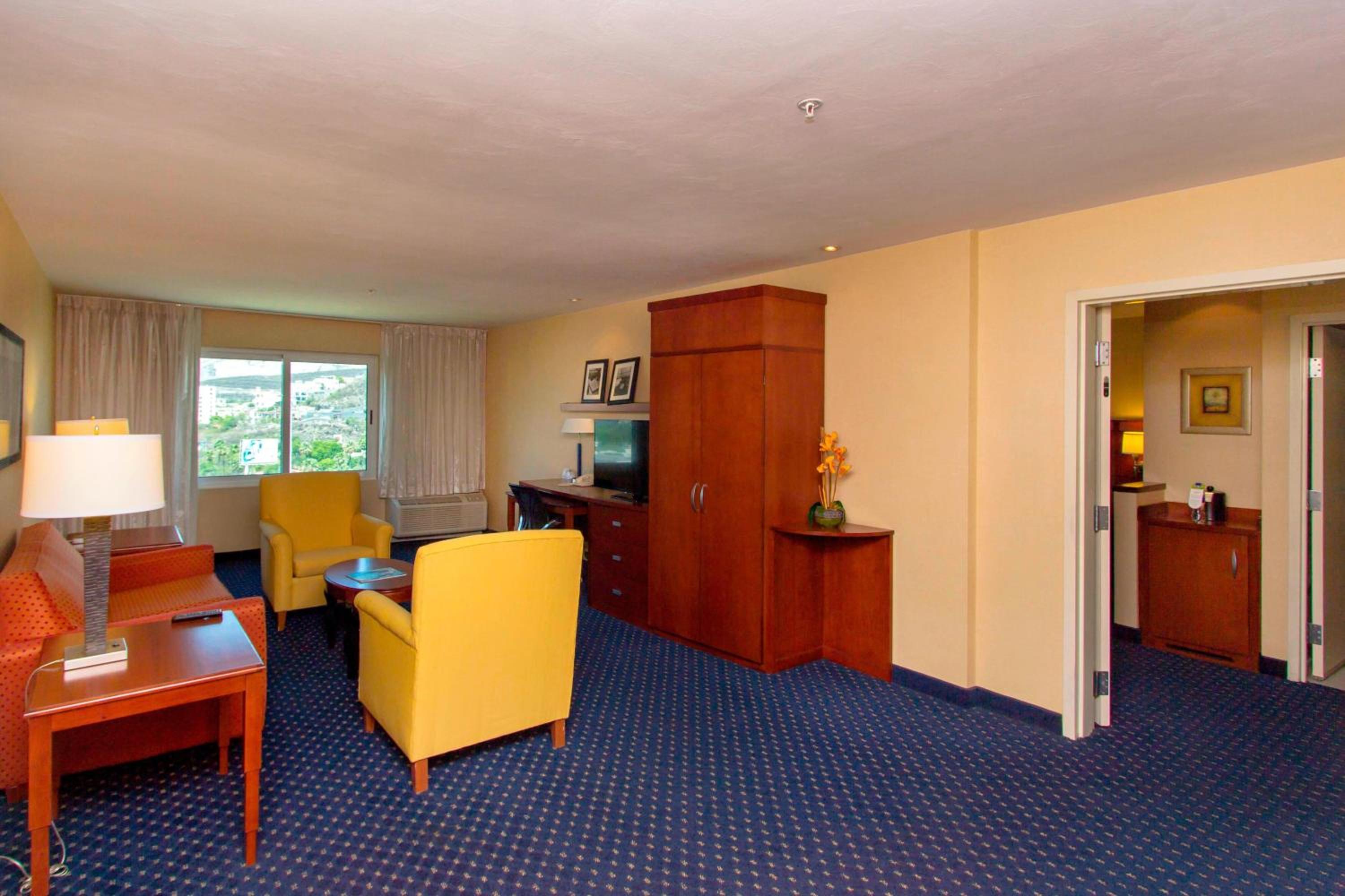 King Suite with Sofa Bed - Photo 16