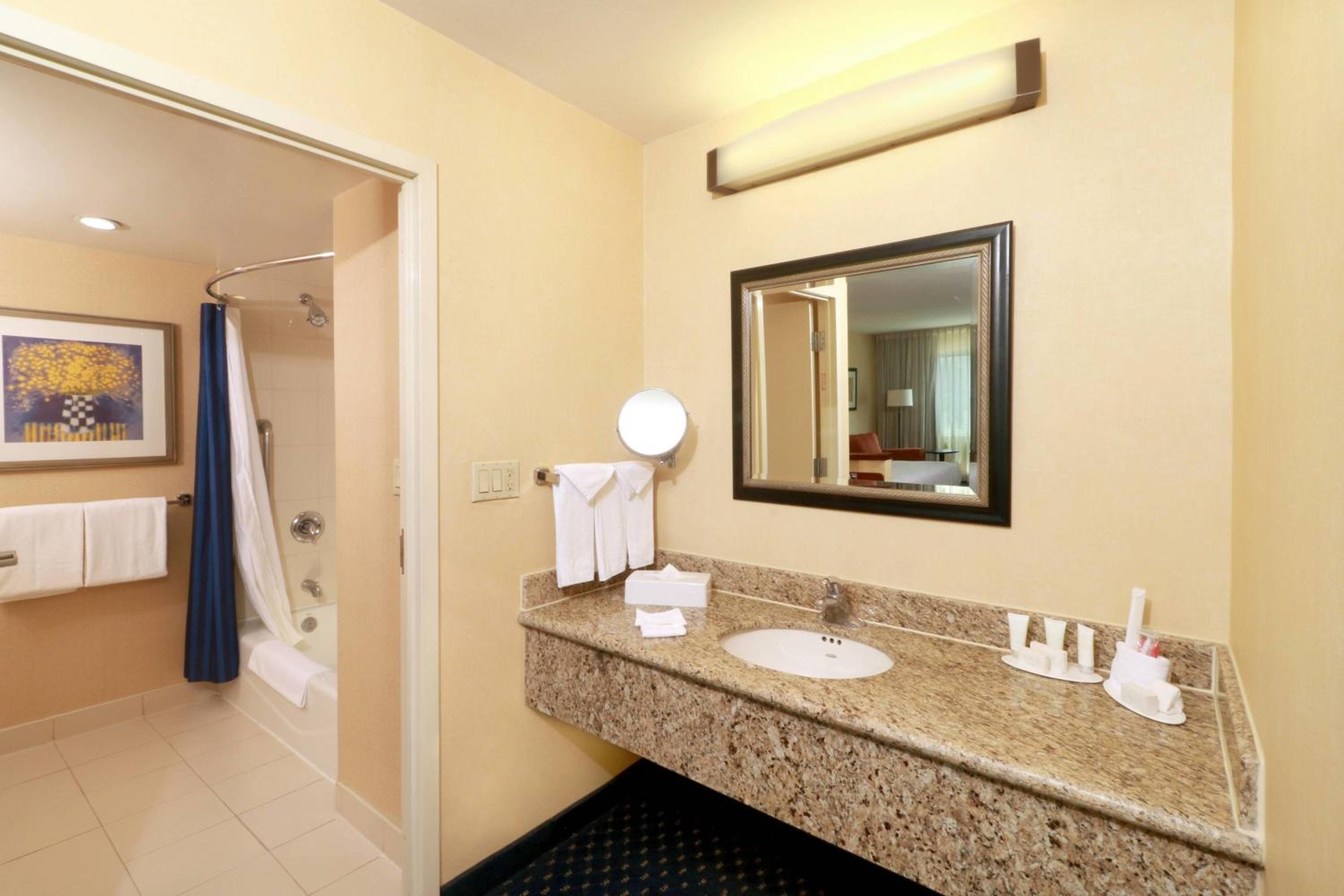 King Suite with Sofa Bed - Photo 9