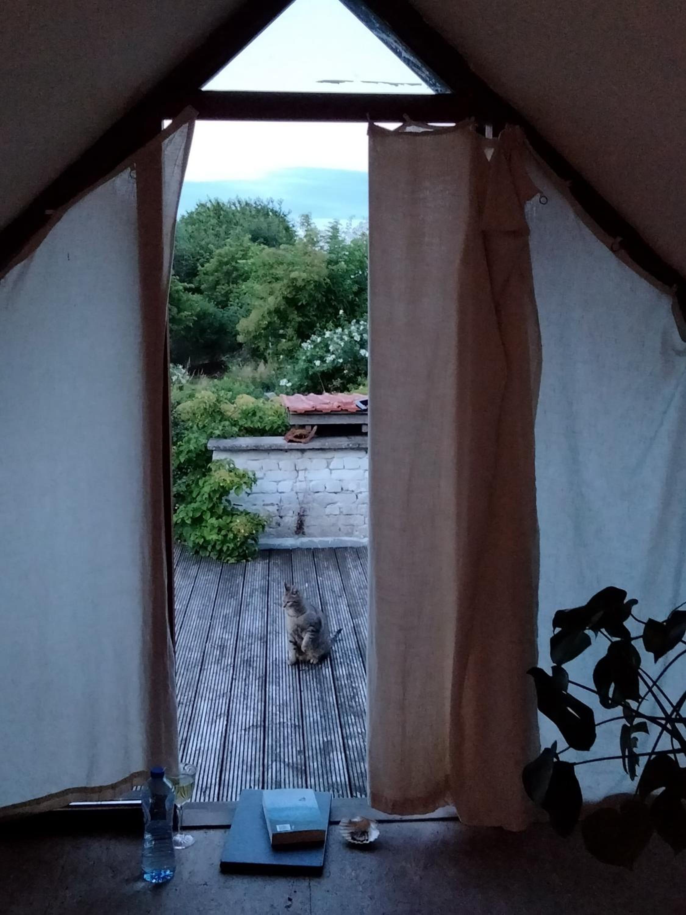 Triple Room with Terrace photo 2