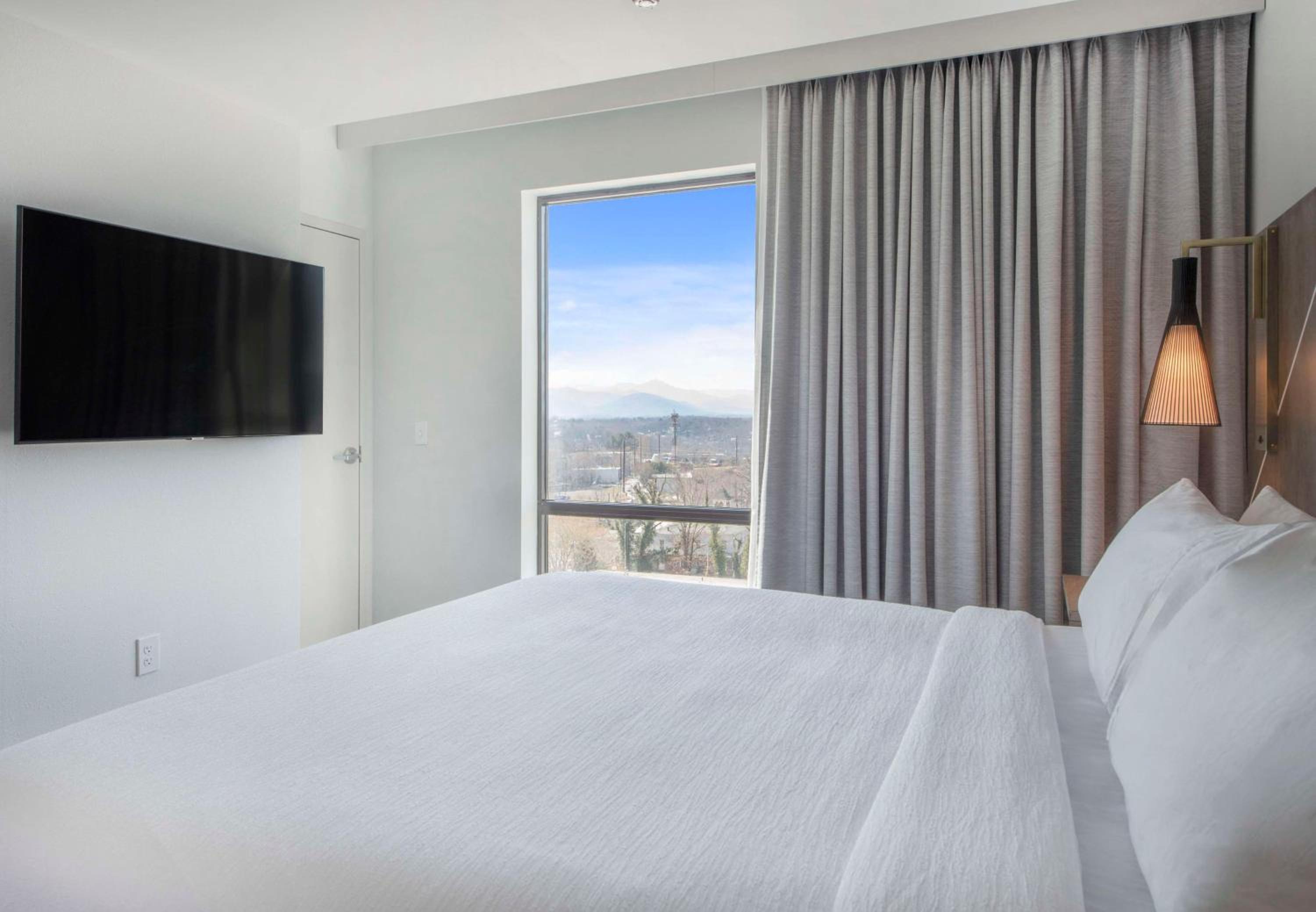 One-Bedroom King Suite with Mountain View - Photo 5