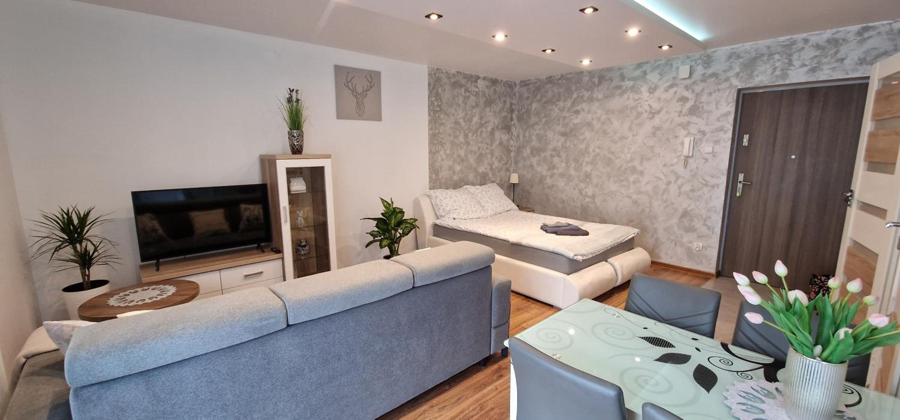 Studio Apartment with Balcony photo 1