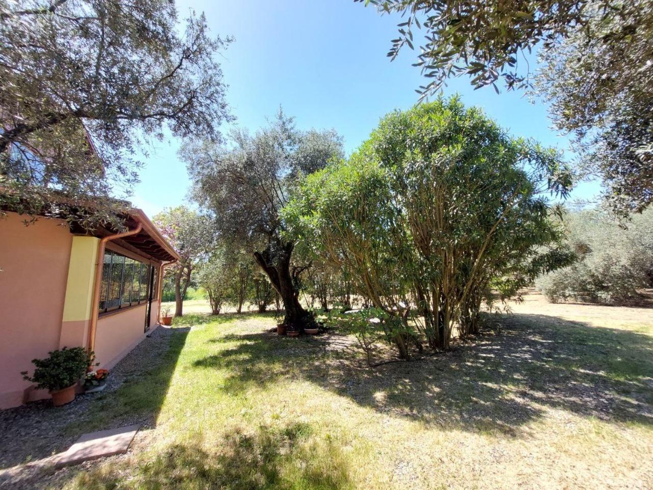 Apartment with Garden View photo 3