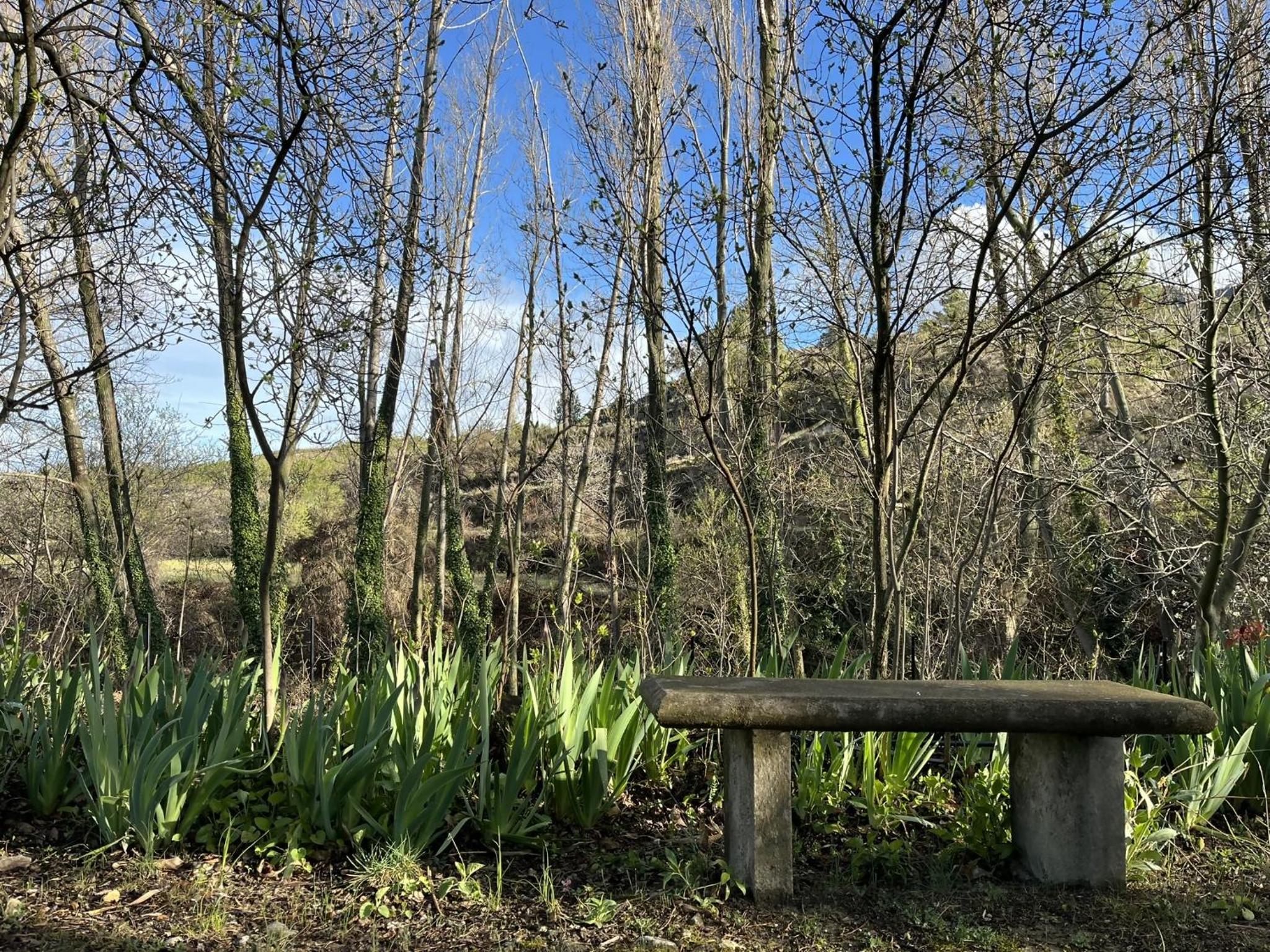 Cortijo San Roque Ländliche Unterkünfte, Foto 5