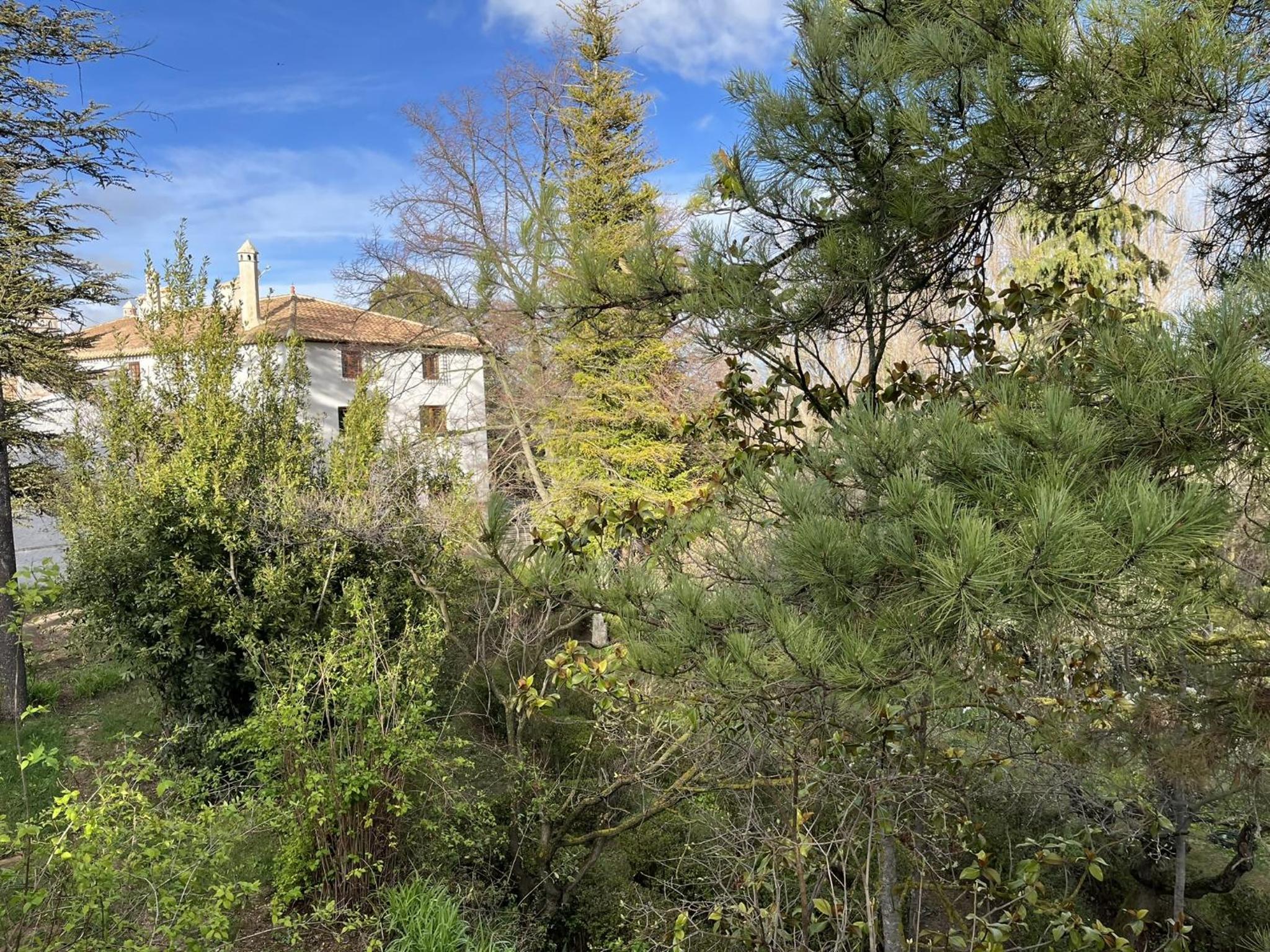 Cortijo San Roque Ländliche Unterkünfte, Foto 6