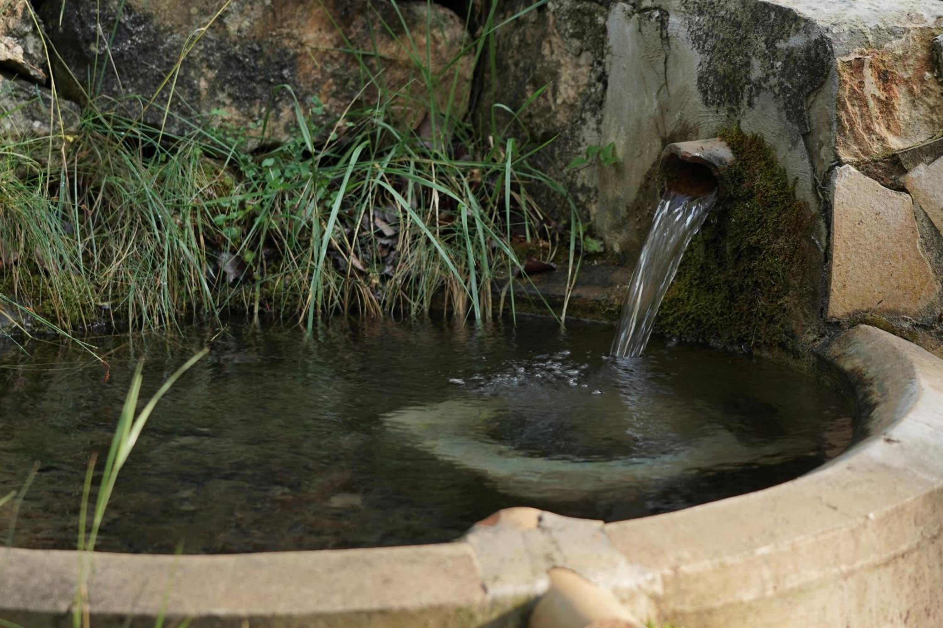 Cortijo San Roque Ländliche Unterkünfte, Foto 7