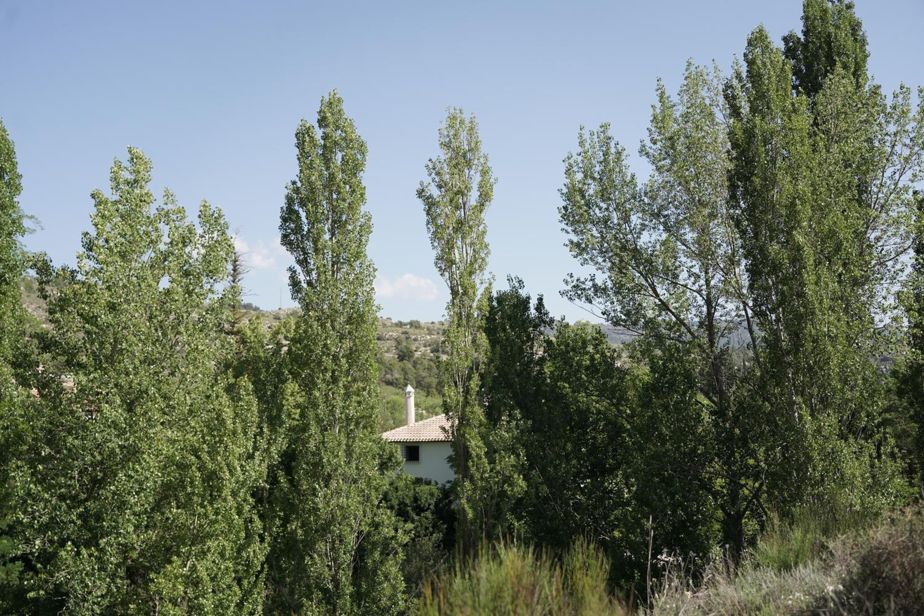 Cortijo San Roque Ländliche Unterkünfte, Foto 8