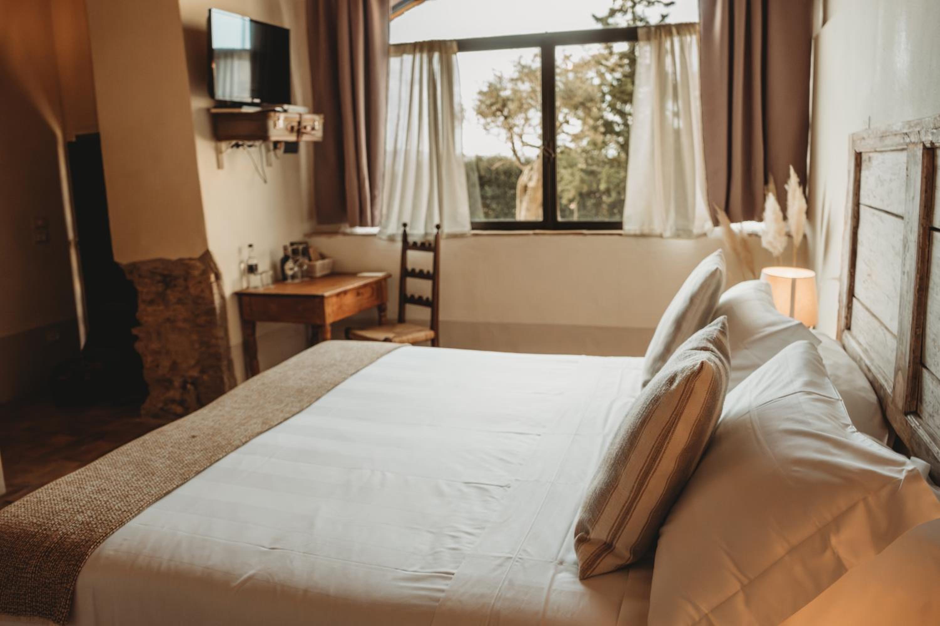 Deluxe Double or Twin Room photo 1