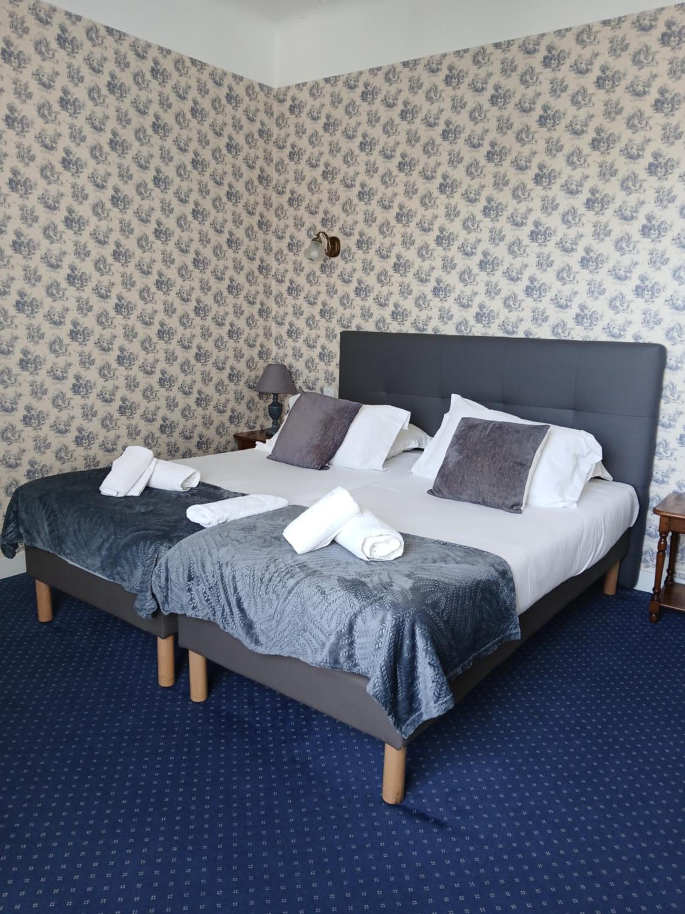 Twin Superior Room photo 2