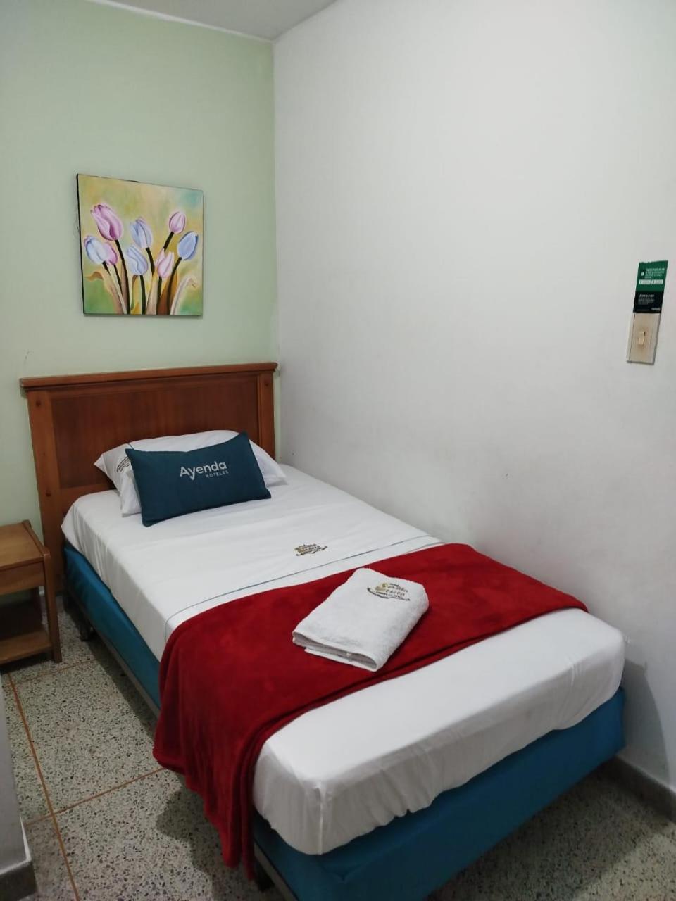 Single Room photo 2