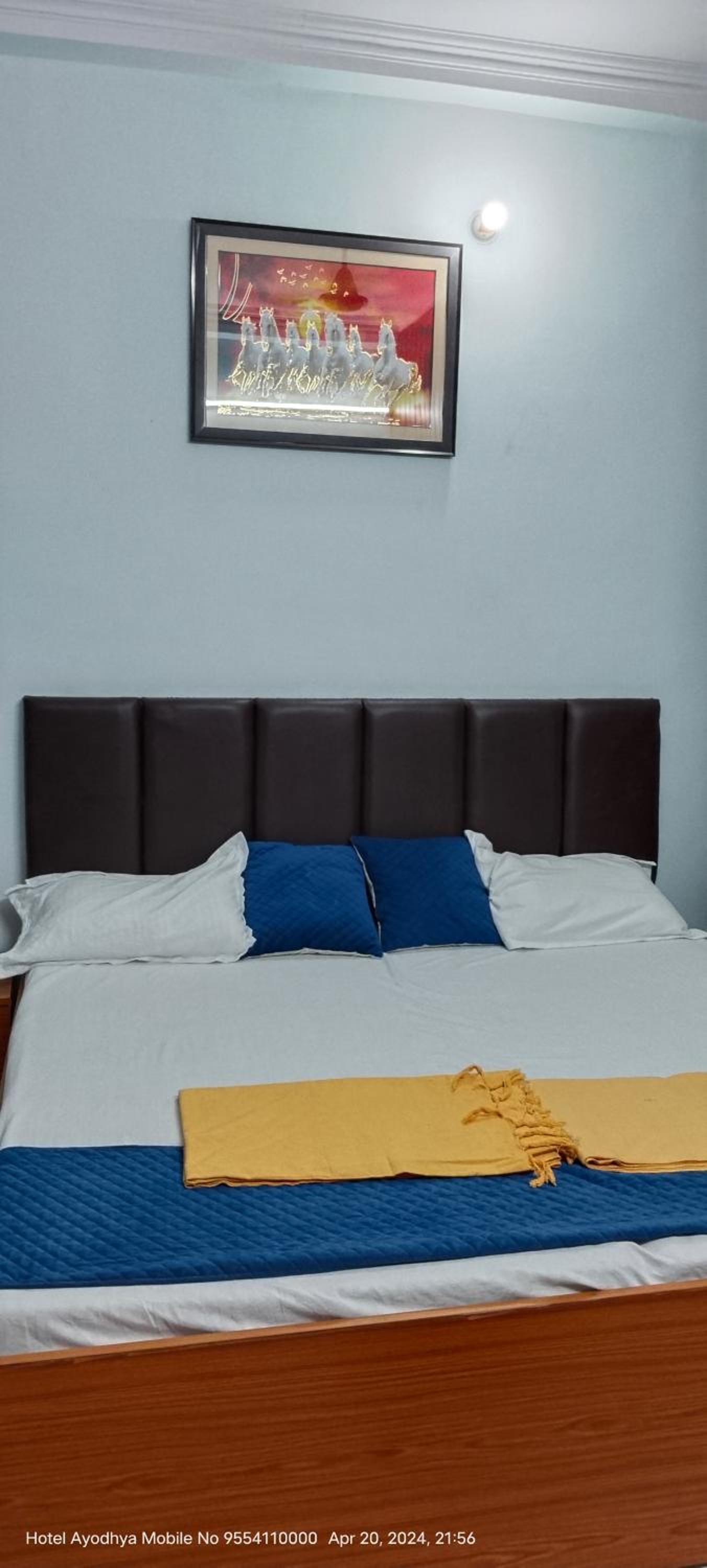 Deluxe Room photo 3