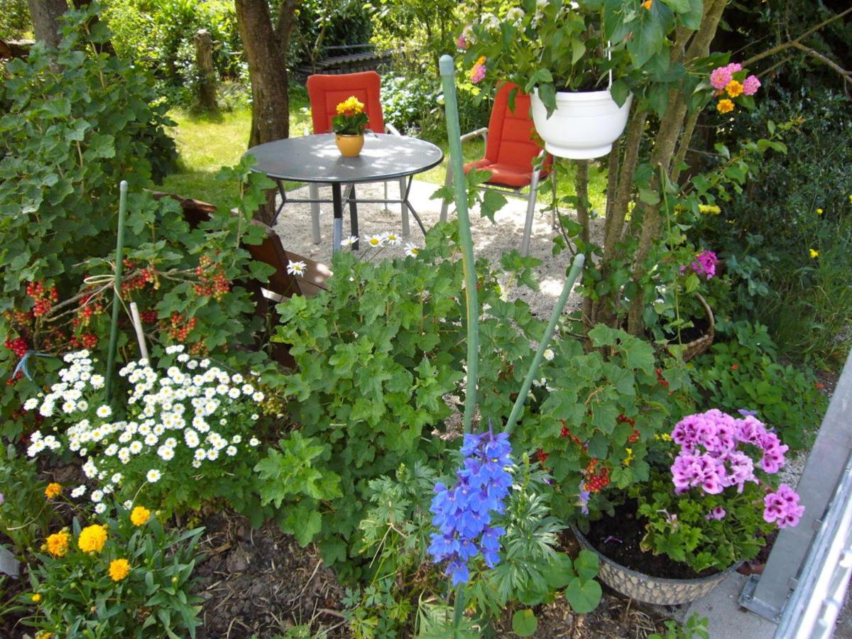 Apartment With Garden View photo 3