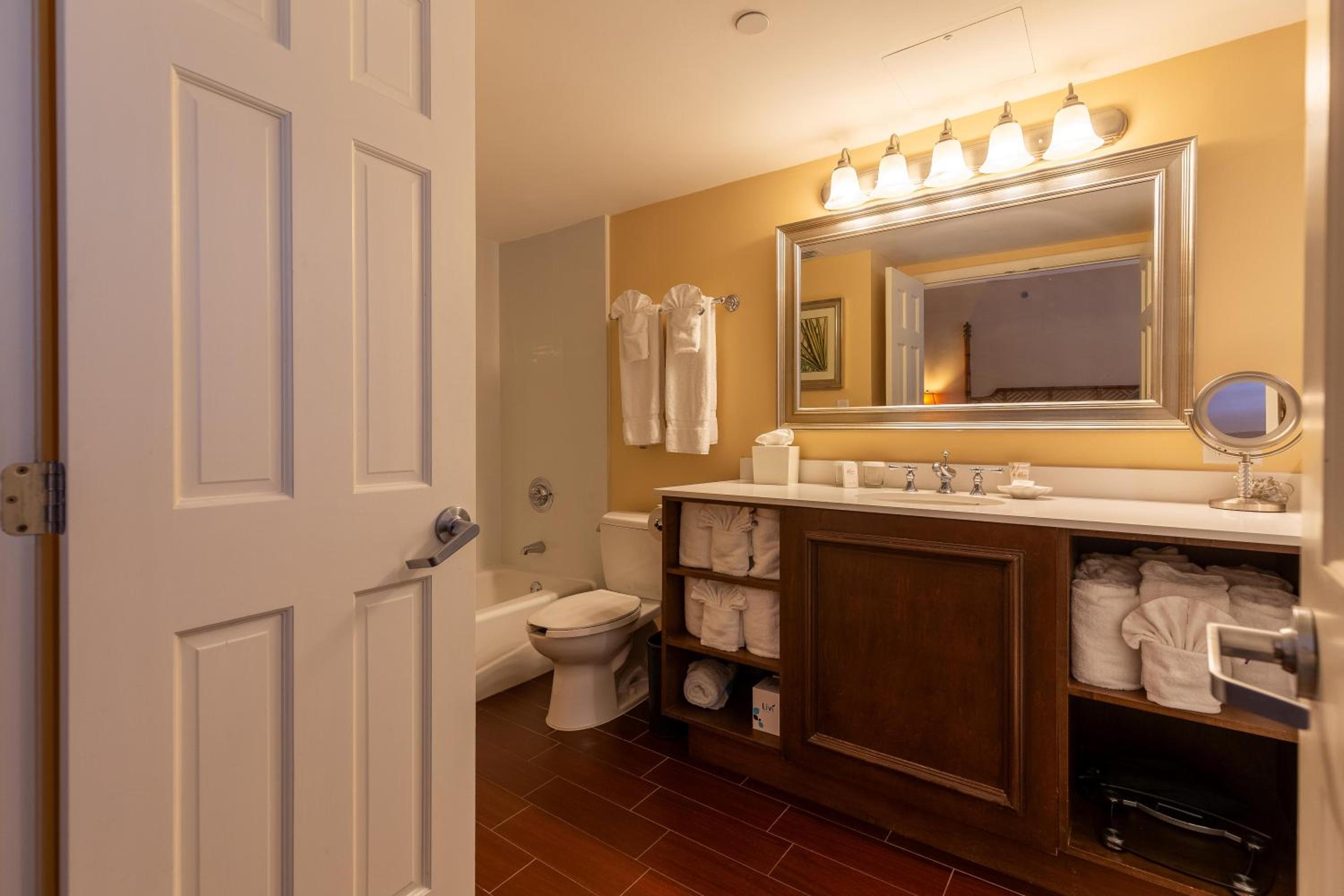 Deluxe Suite - Photo 7