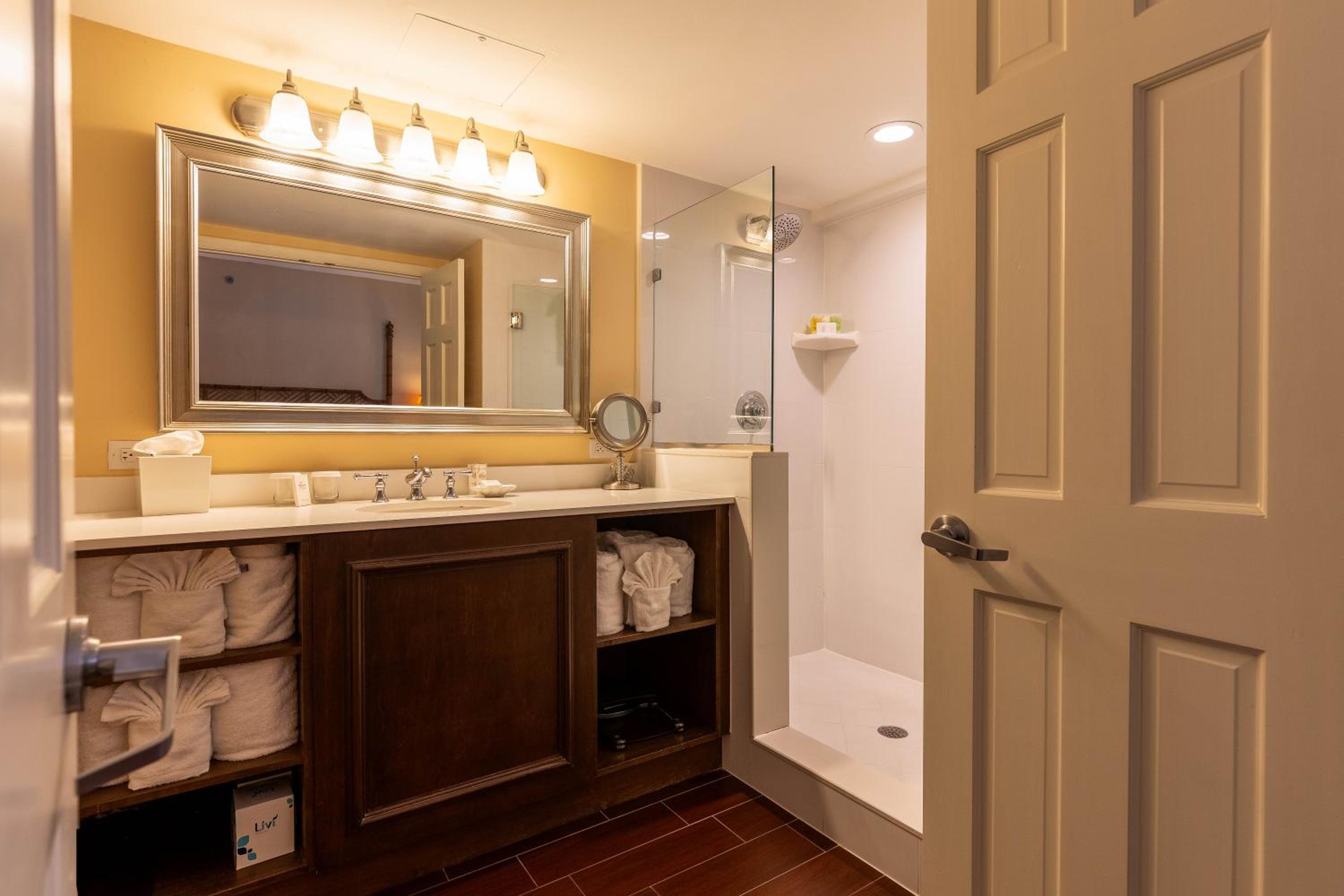 Deluxe Suite - Photo 8