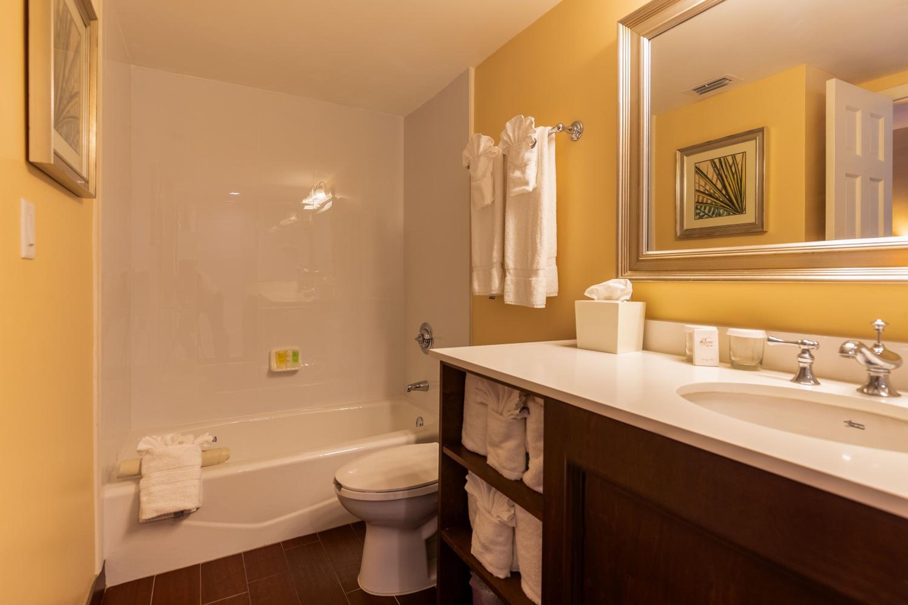Deluxe Suite - Photo 9