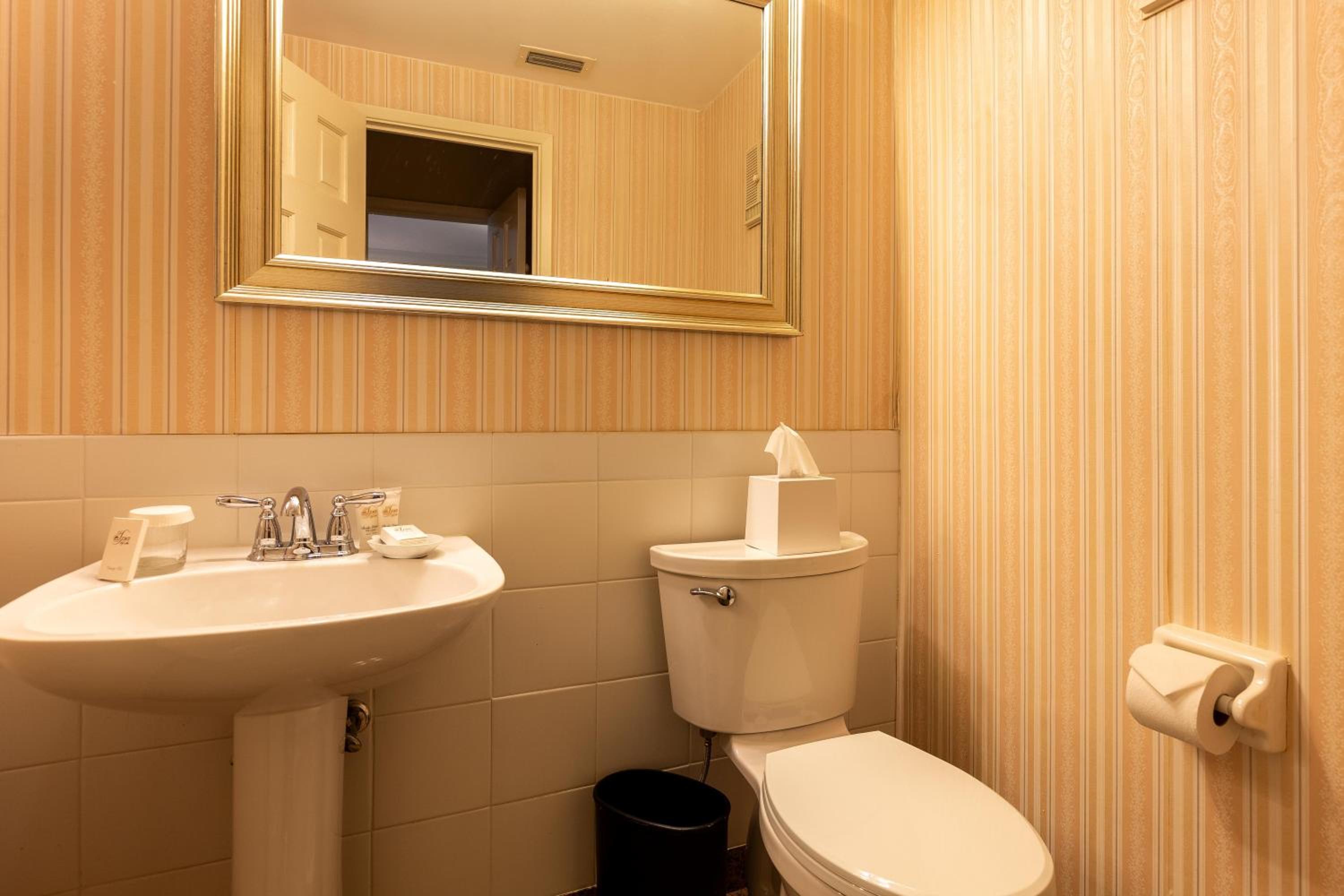 Deluxe Suite - Photo 10