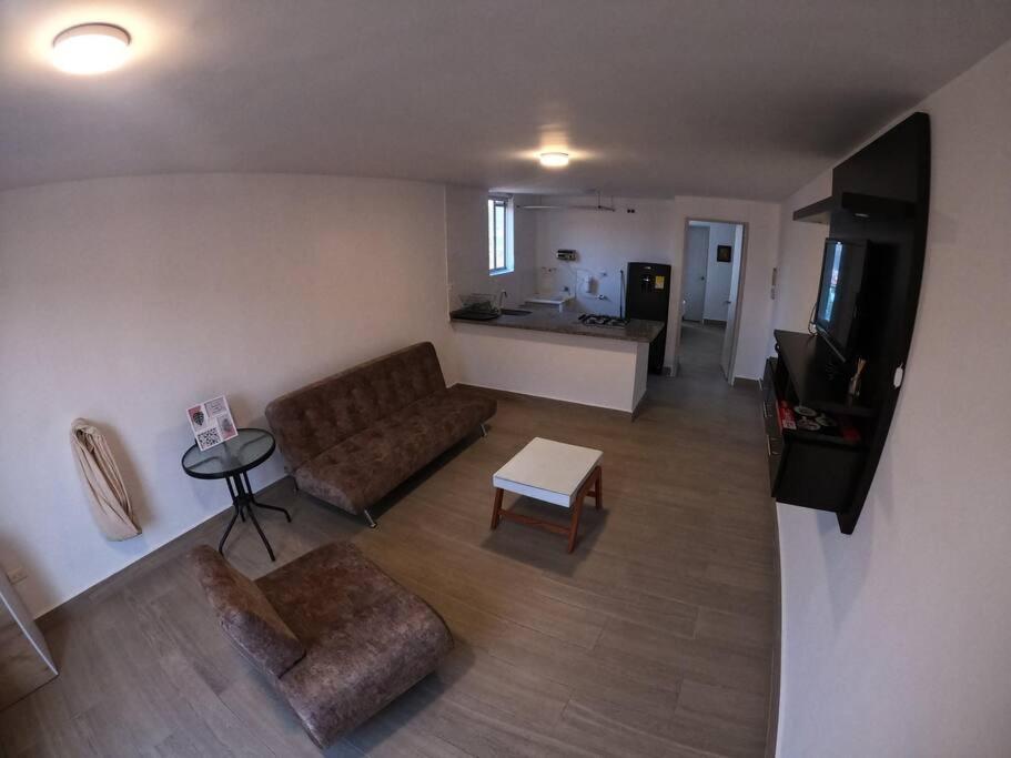 One-Bedroom Apartment photo 3