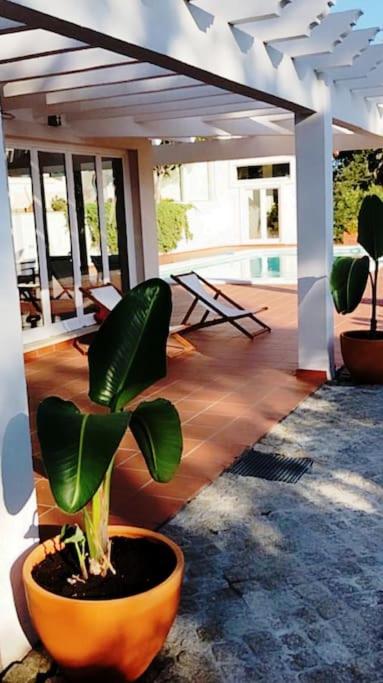 Villa with Private Pool photo 3
