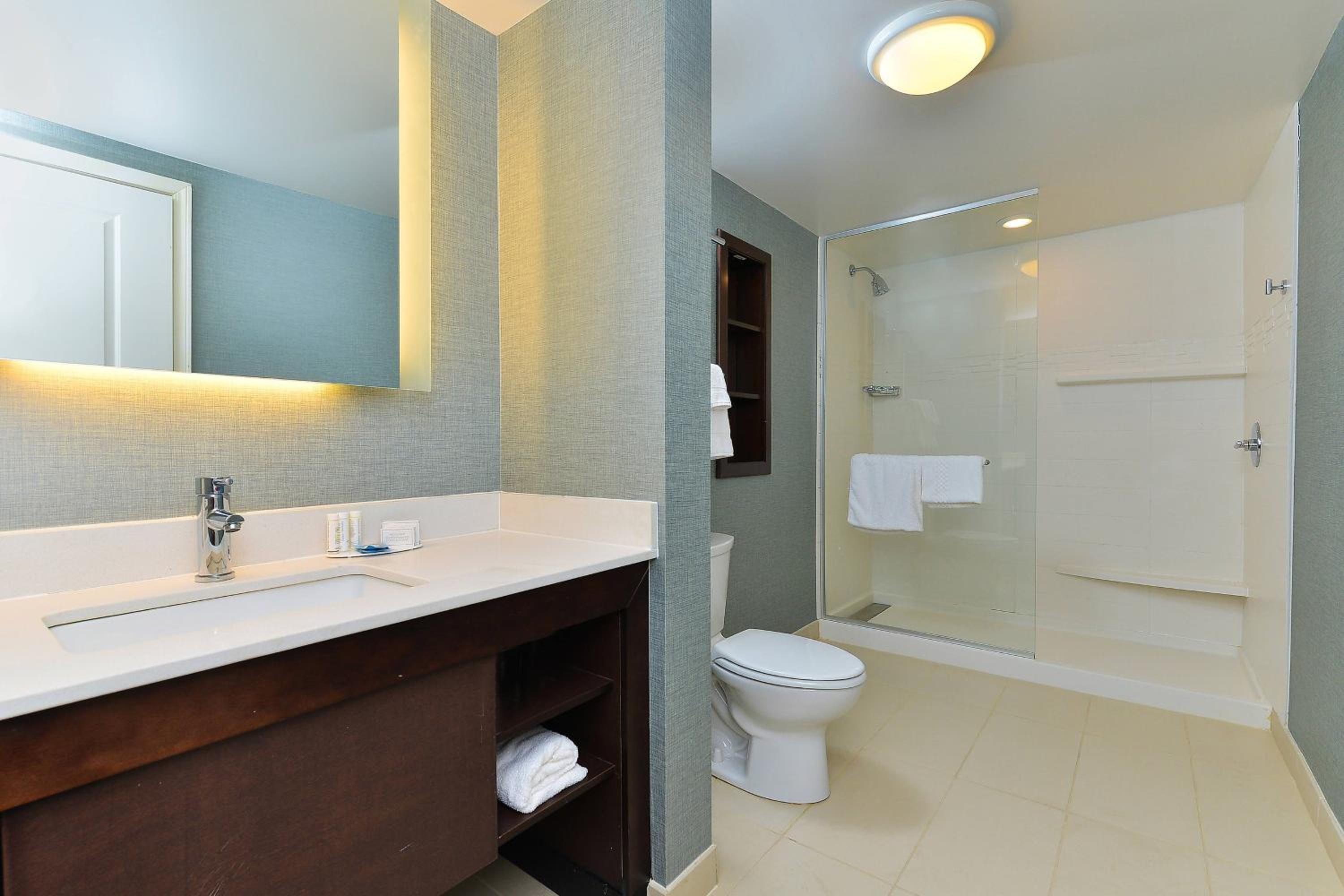 One-Bedroom King Suite with Sofa Bed photo 2