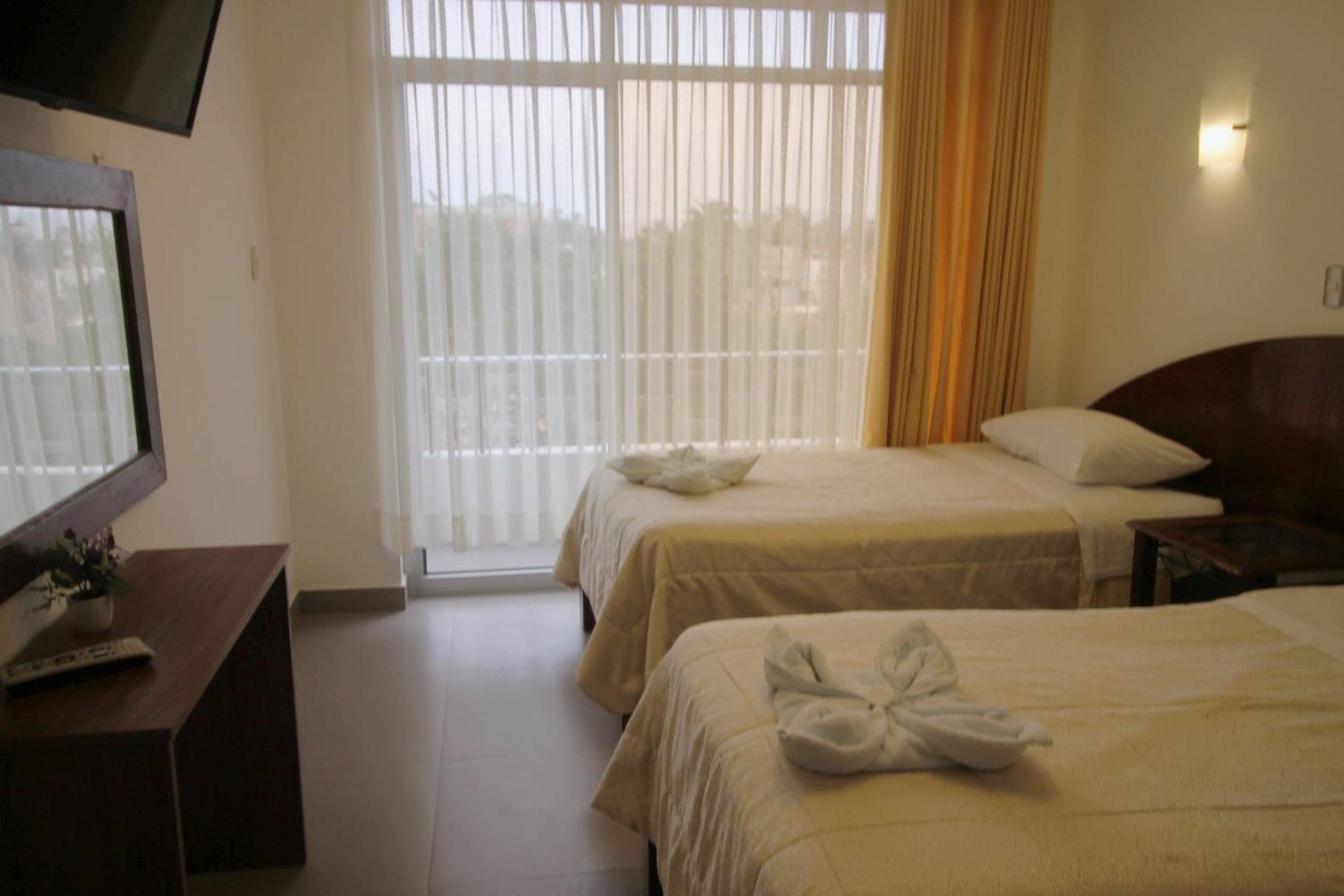 Twin Room photo 2