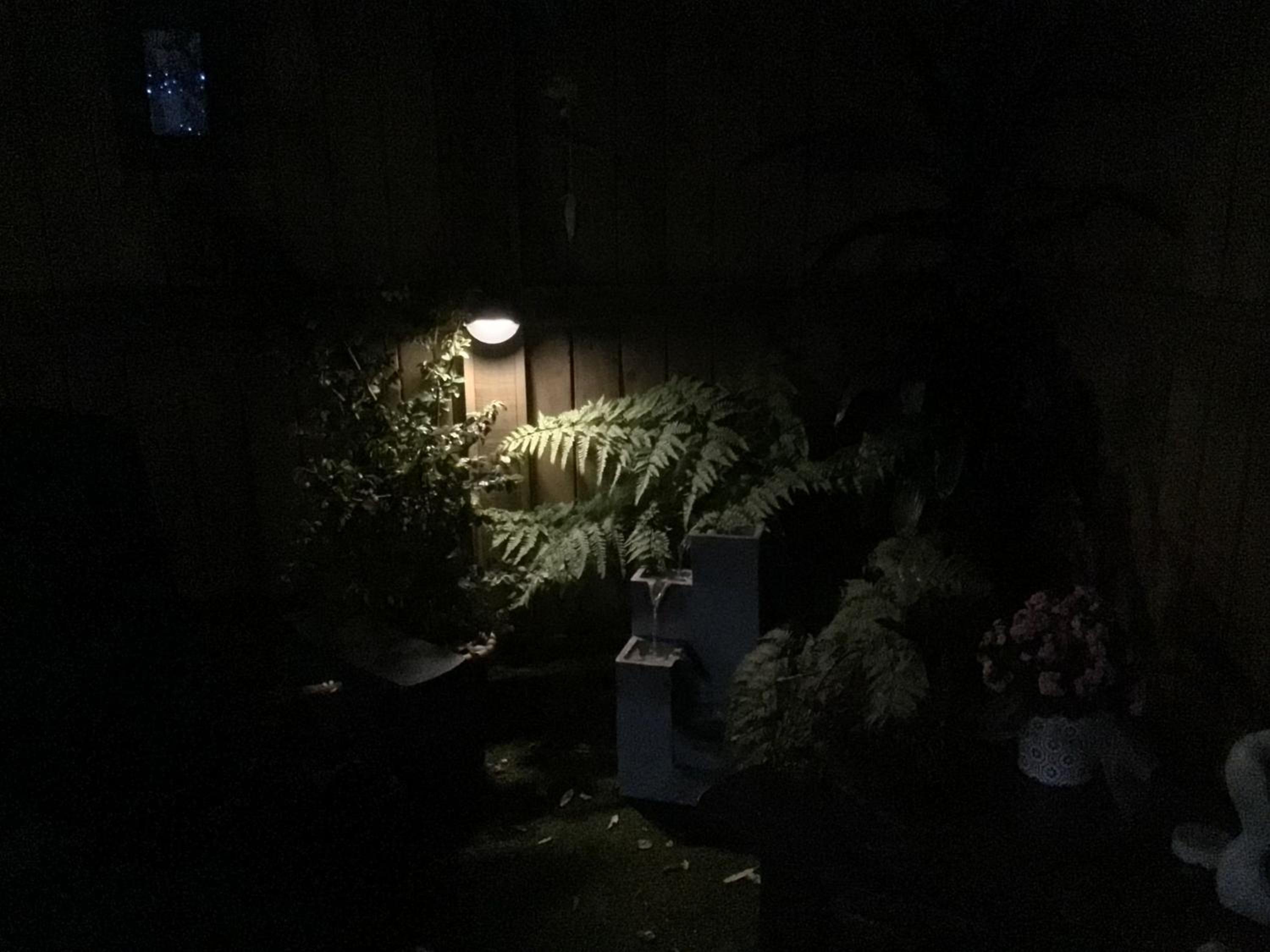 Studio with Garden View photo 3