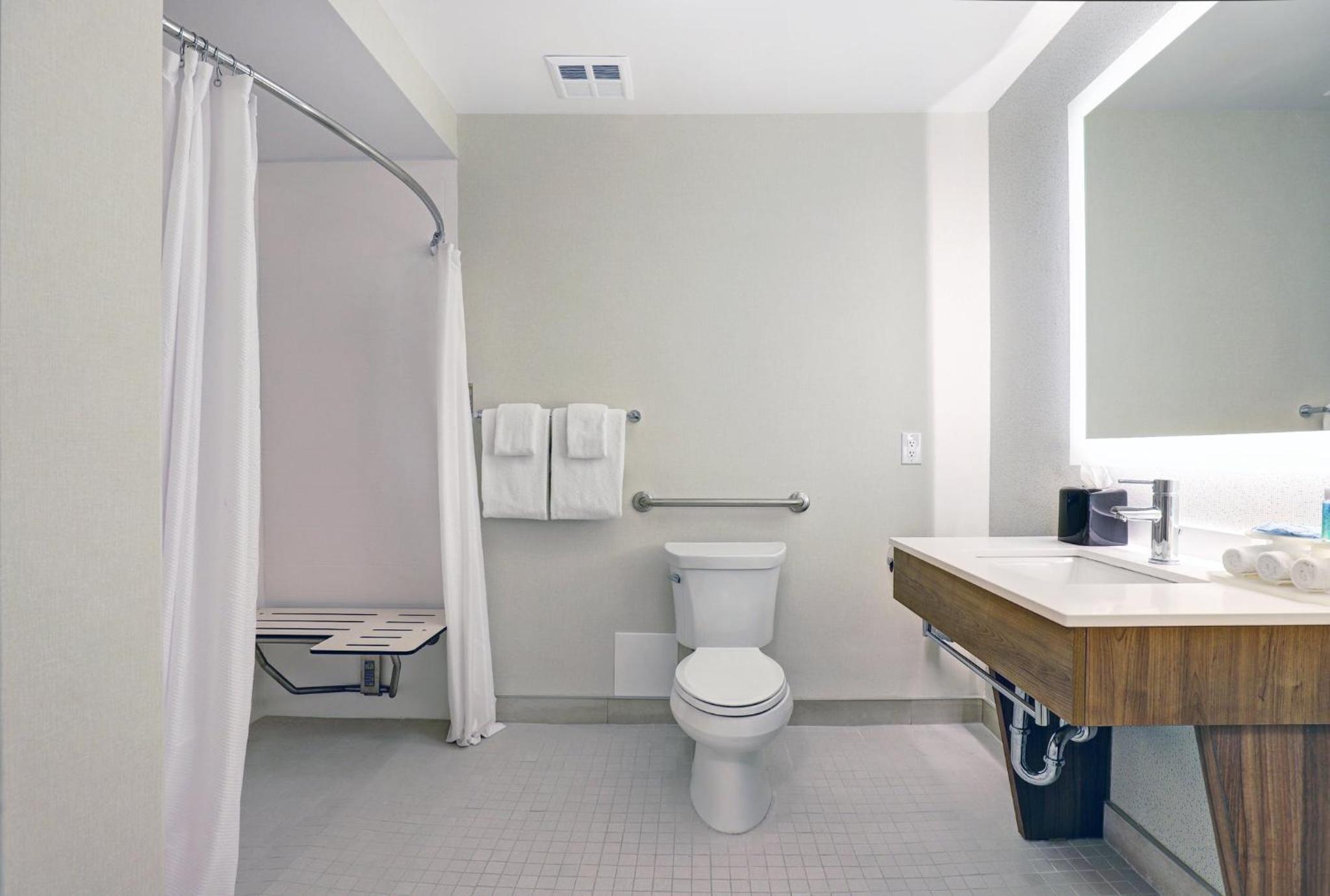 Standard King Room with Roll-in Shower - Mobility Accessible - Photo 4