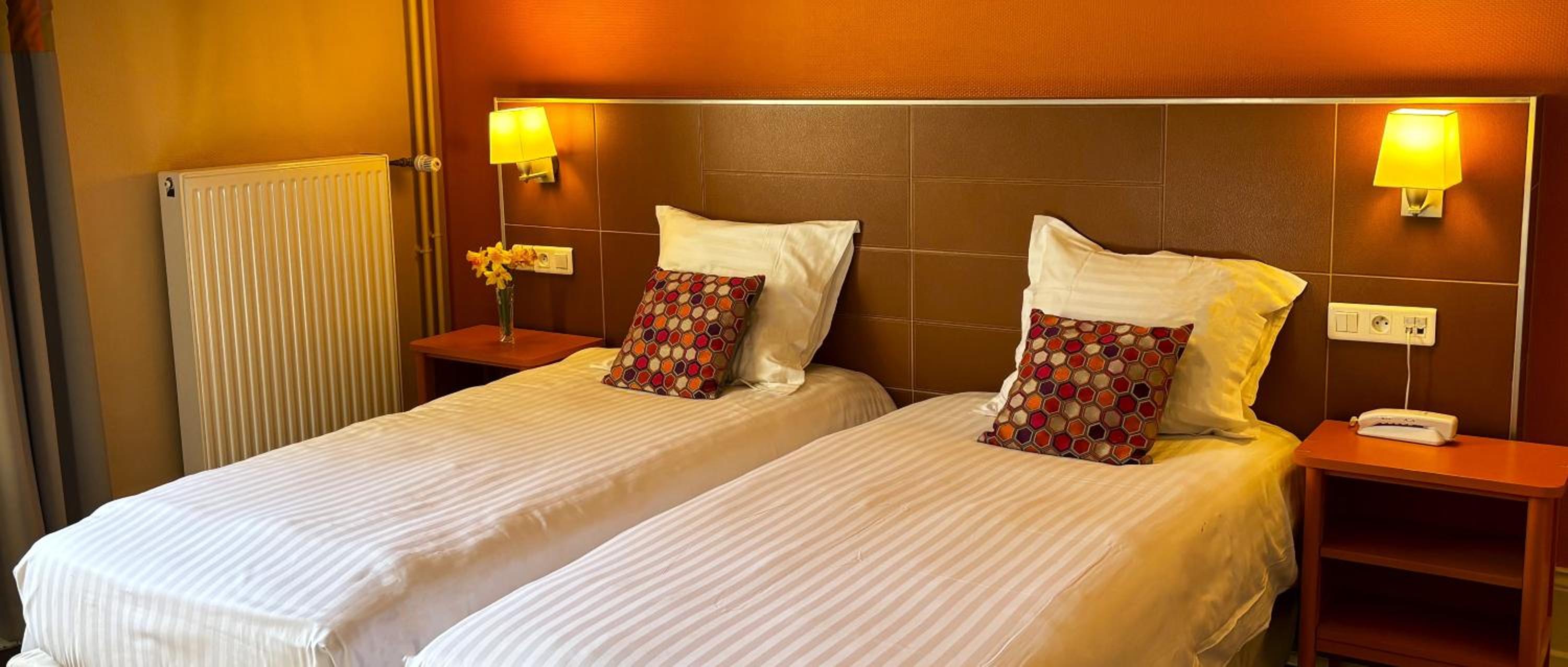 Superior Studio with Twin Beds - Photo 8