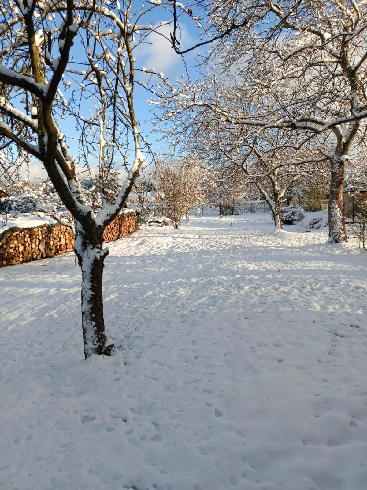 Vacation Home photo 2