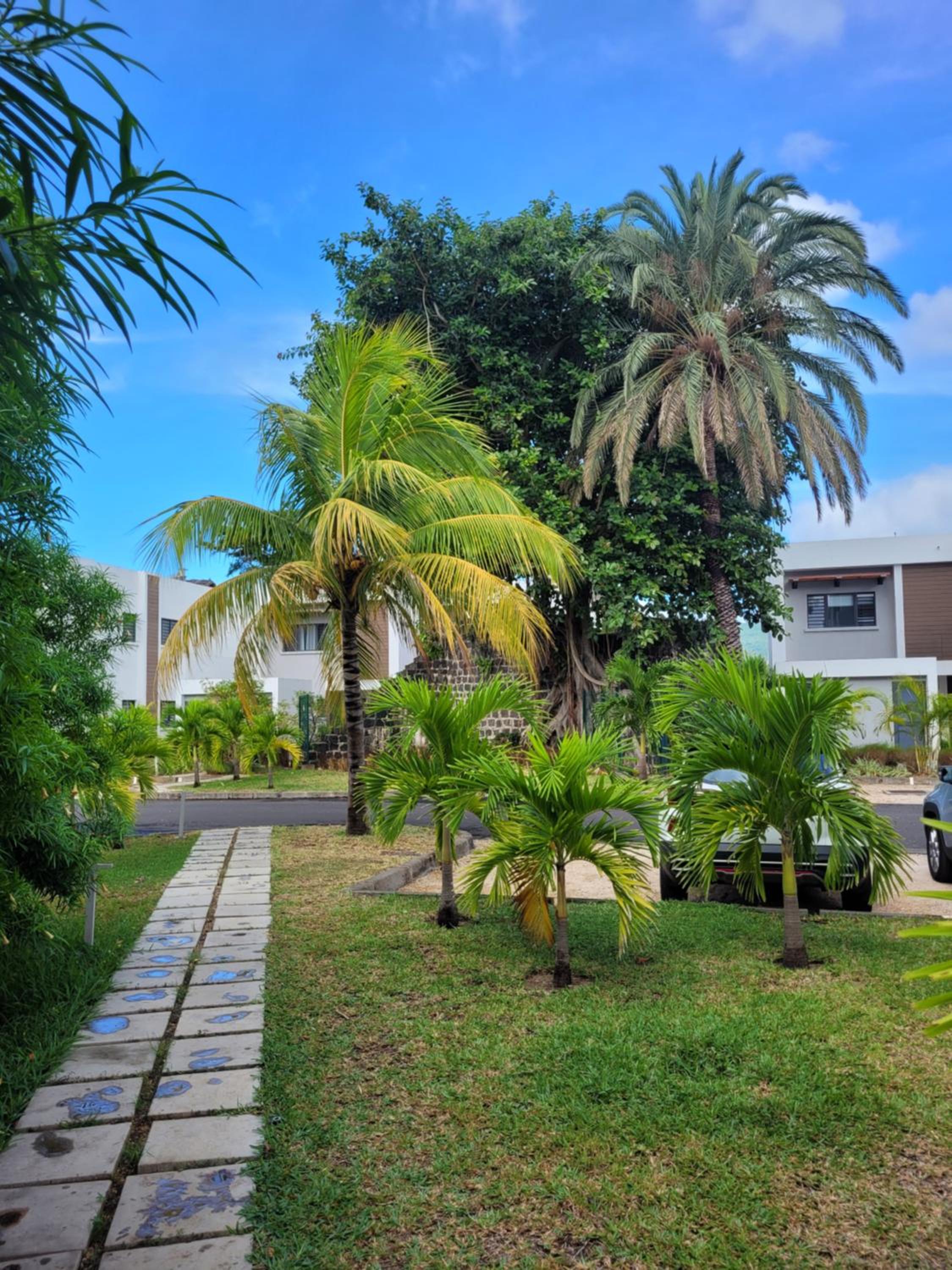 Three-Bedroom Villa photo 2