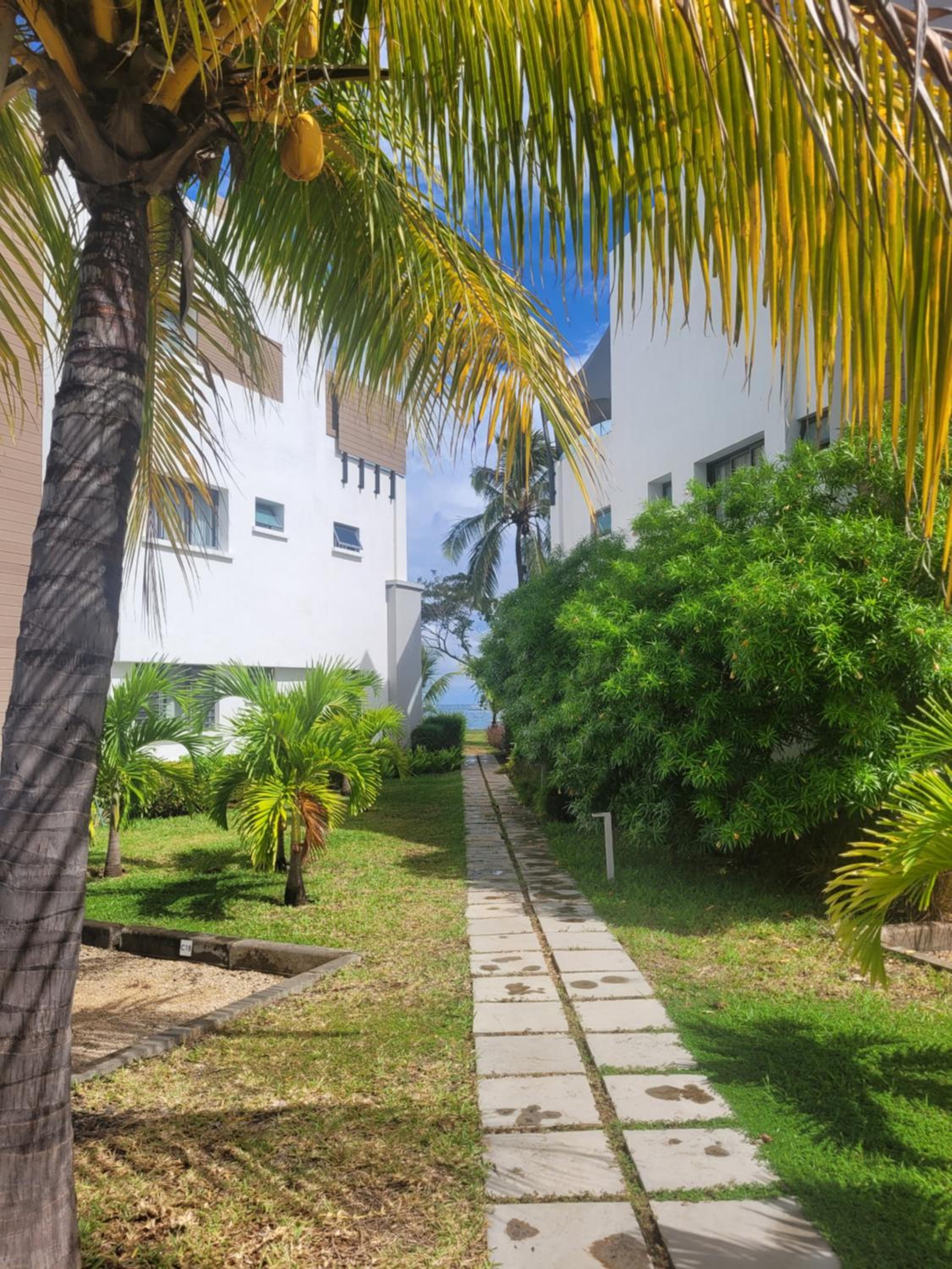 Three-Bedroom Villa photo 3