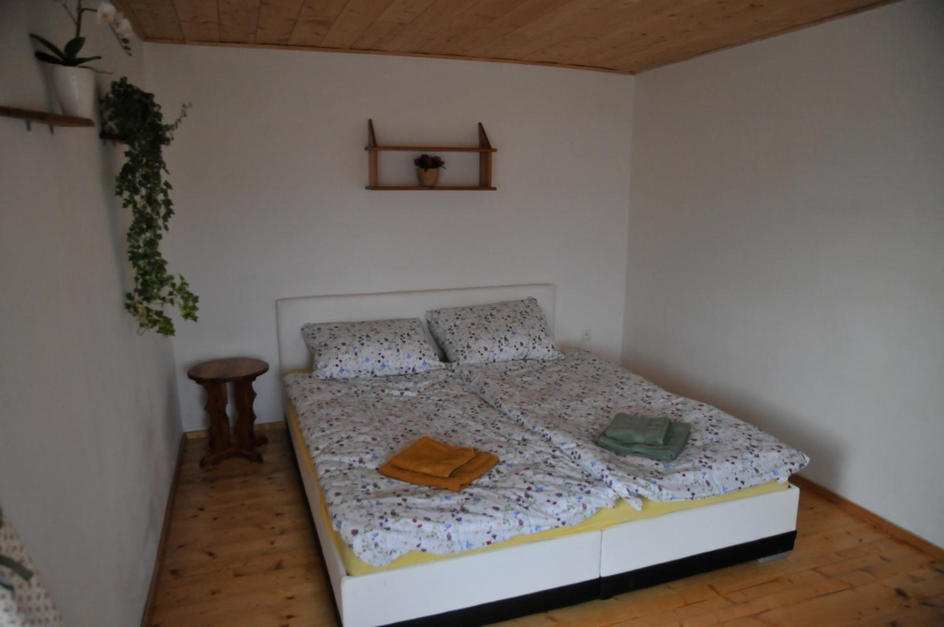 Apartment with Terrace photo 1