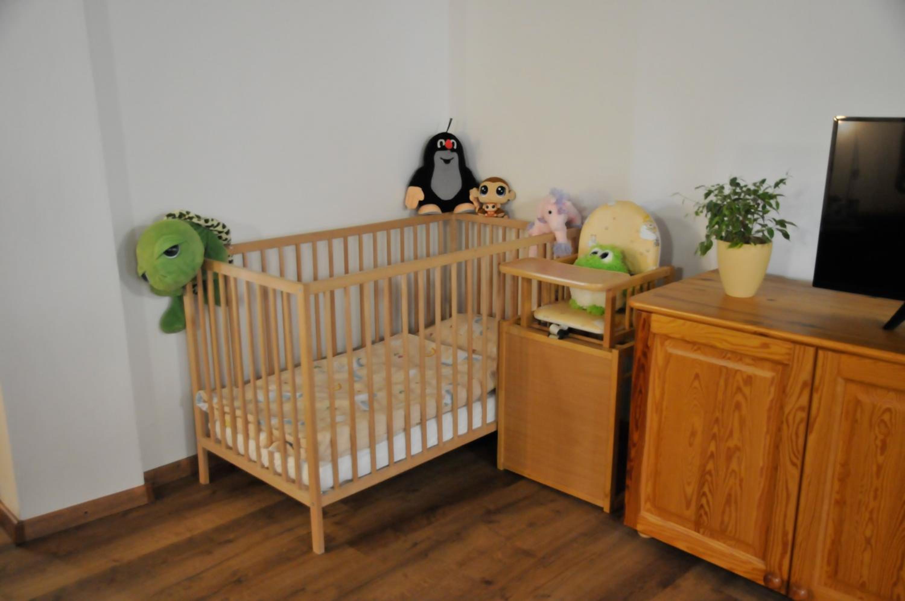 Apartment with Terrace photo 3