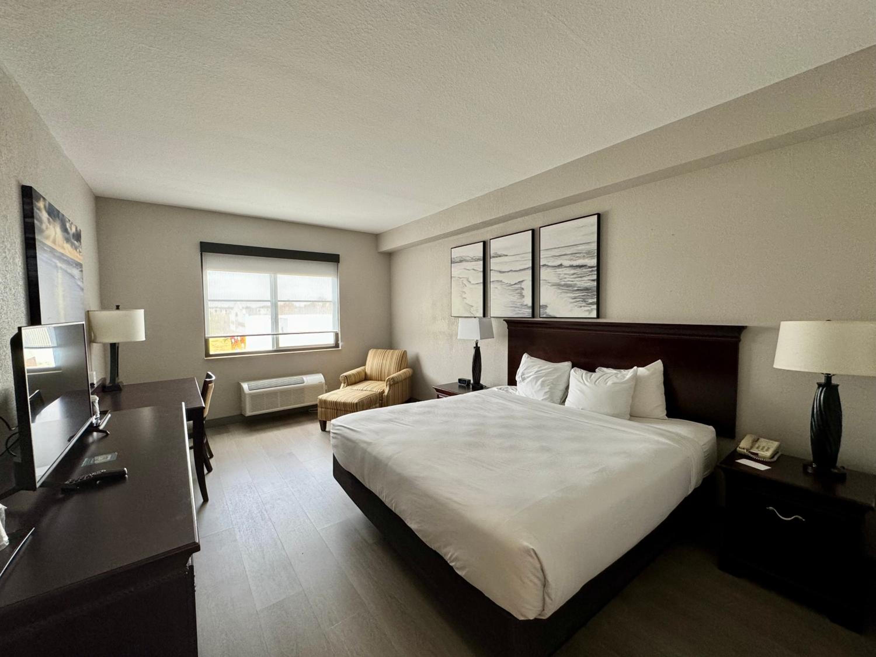 King Room - Non-Smoking - Photo 1