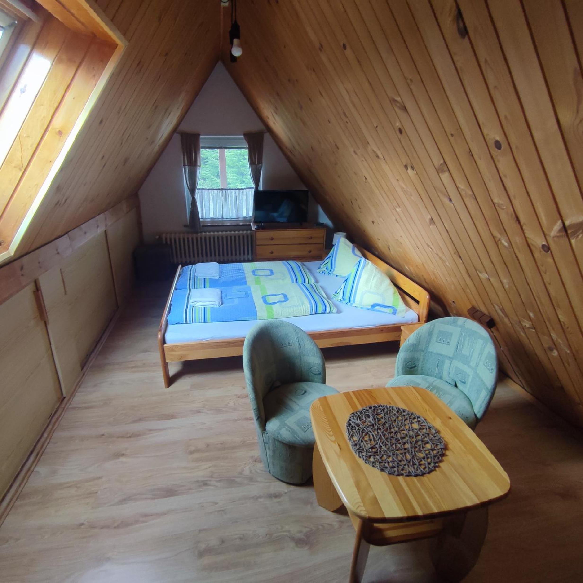 Family Room - Attic photo 1