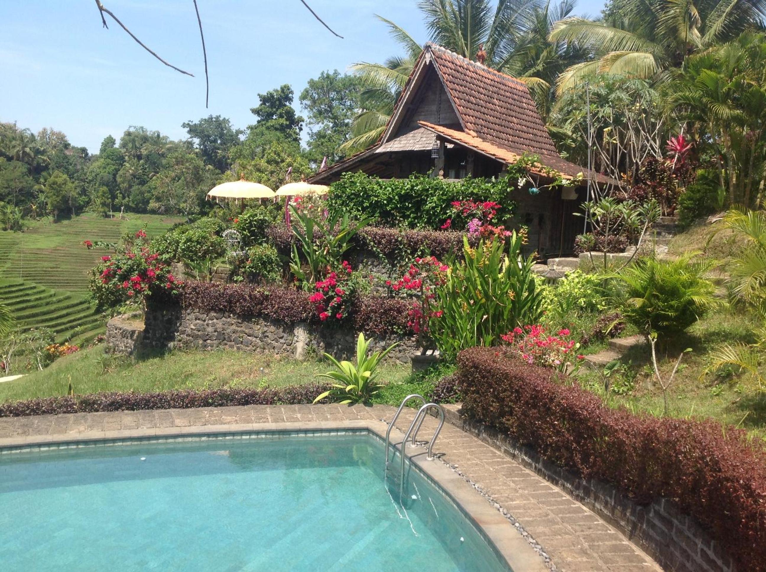 Bungalow with Garden View photo 3