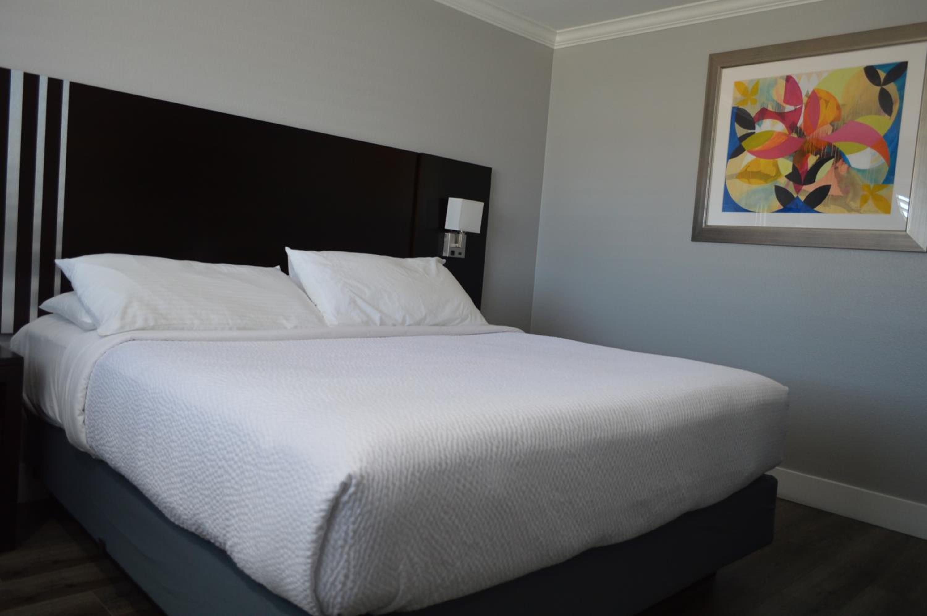 King Suite - Photo 10