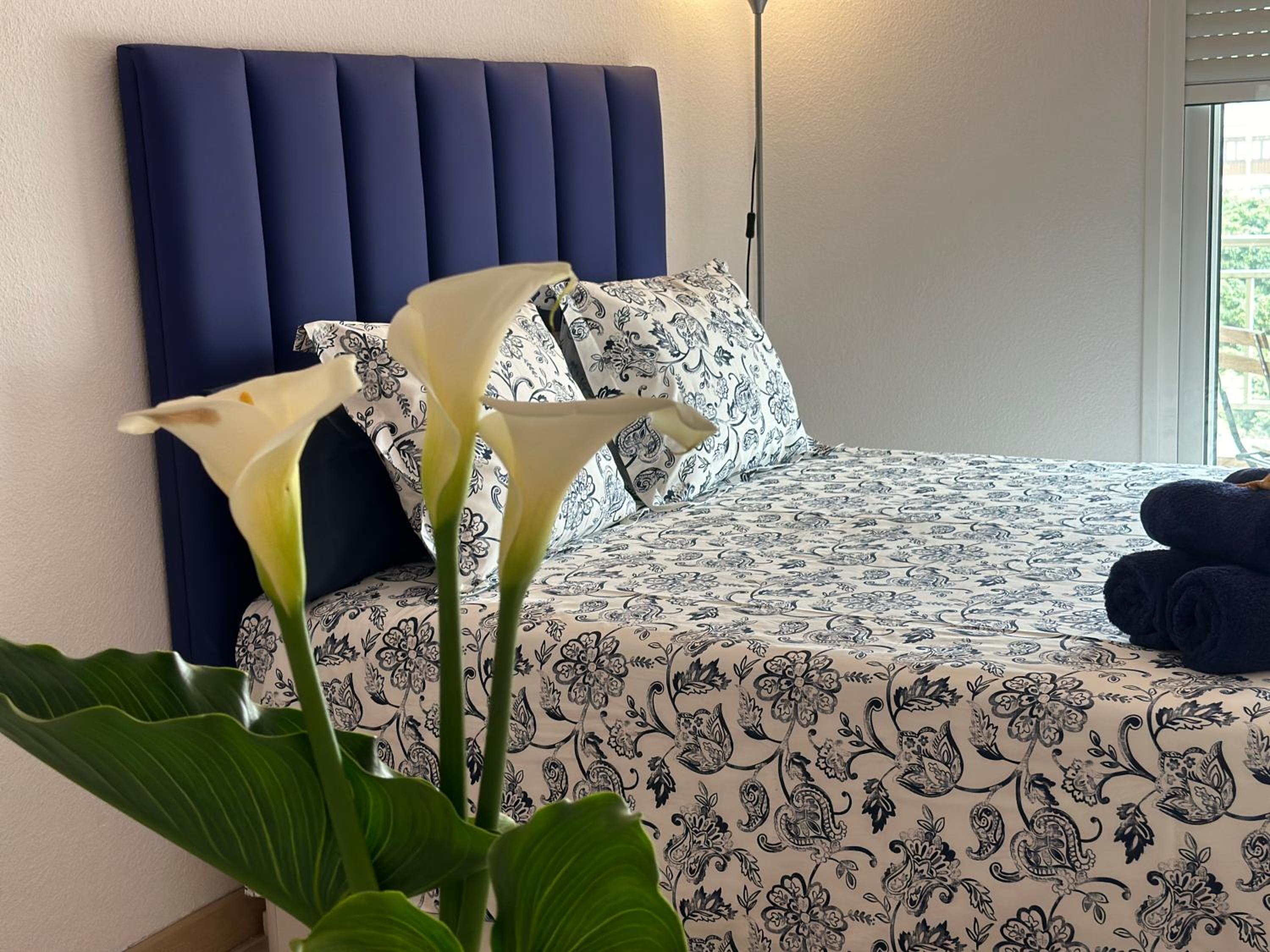 Apartamento de una habitación