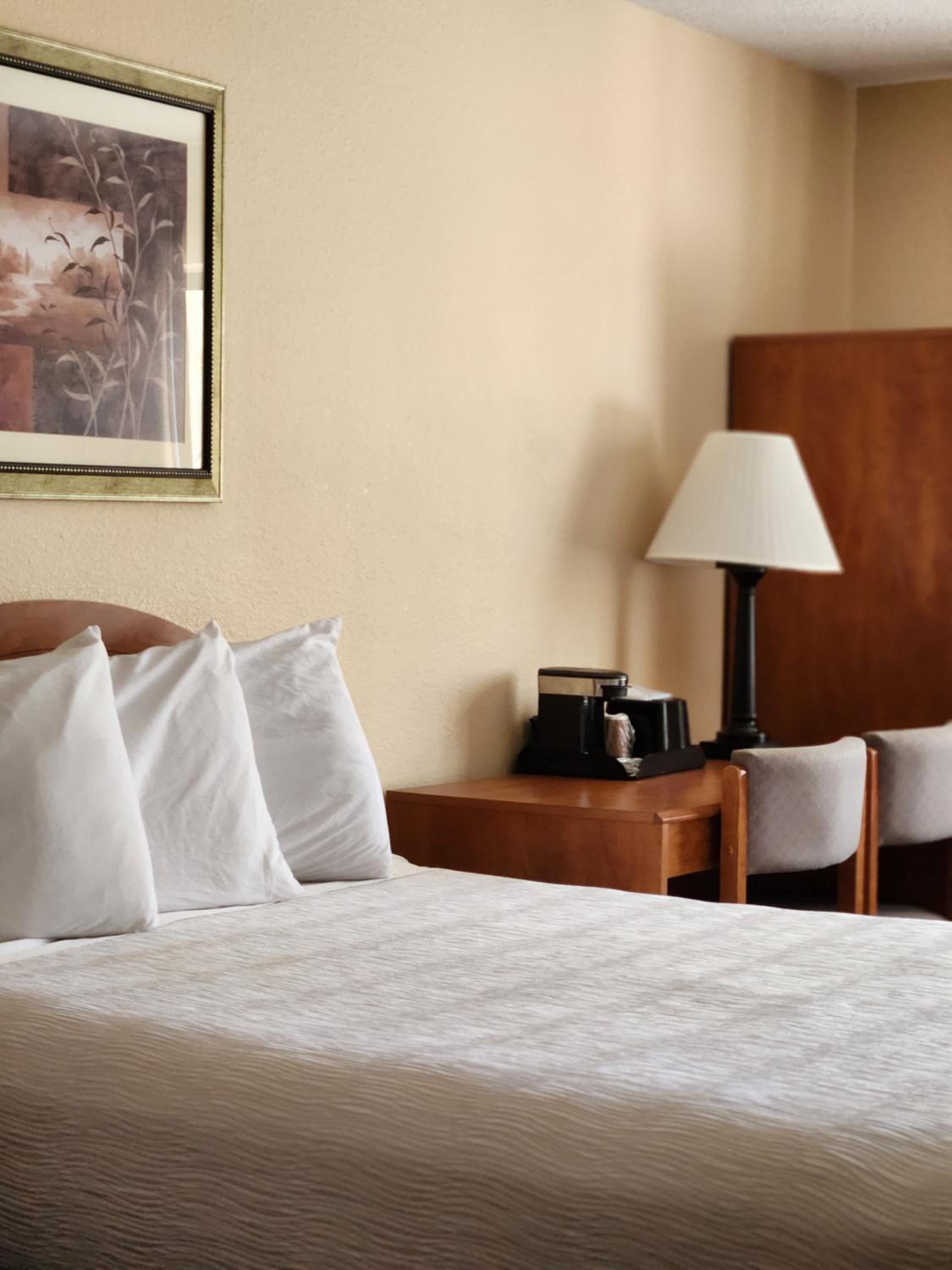 Standard King Room - Photo 1