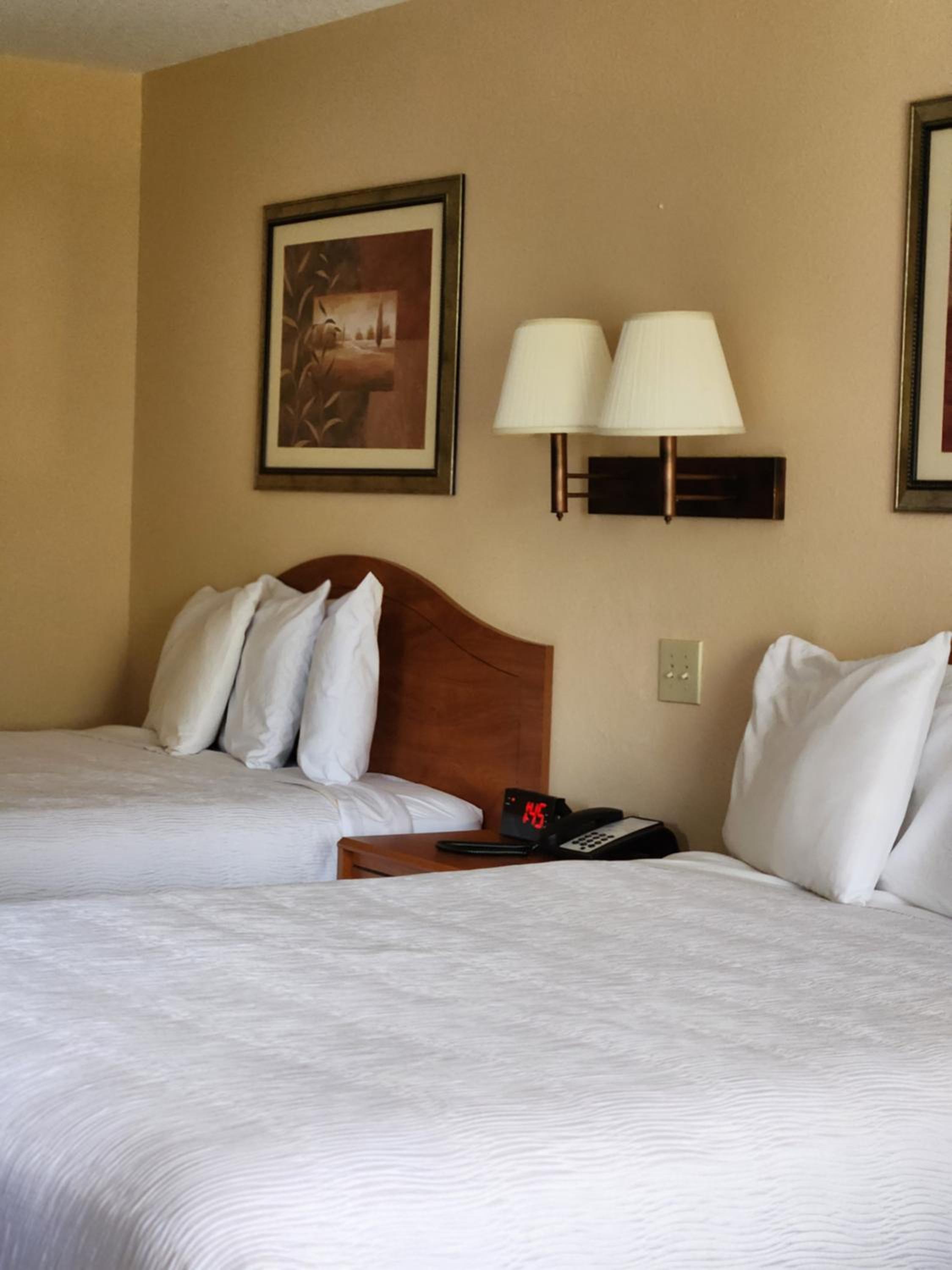 Standard Double Queen Room - Photo 4