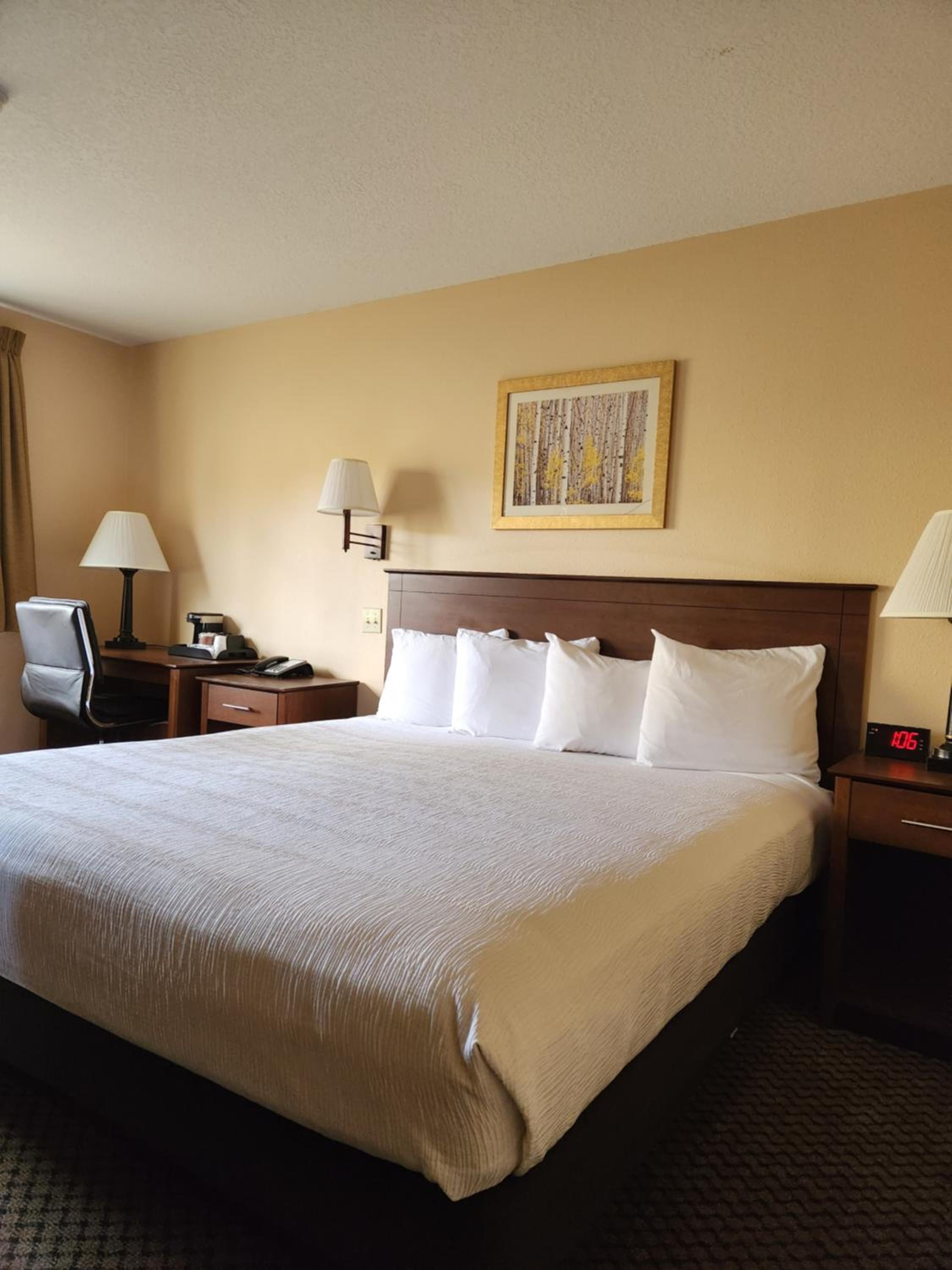 Standard King Room - Photo 8