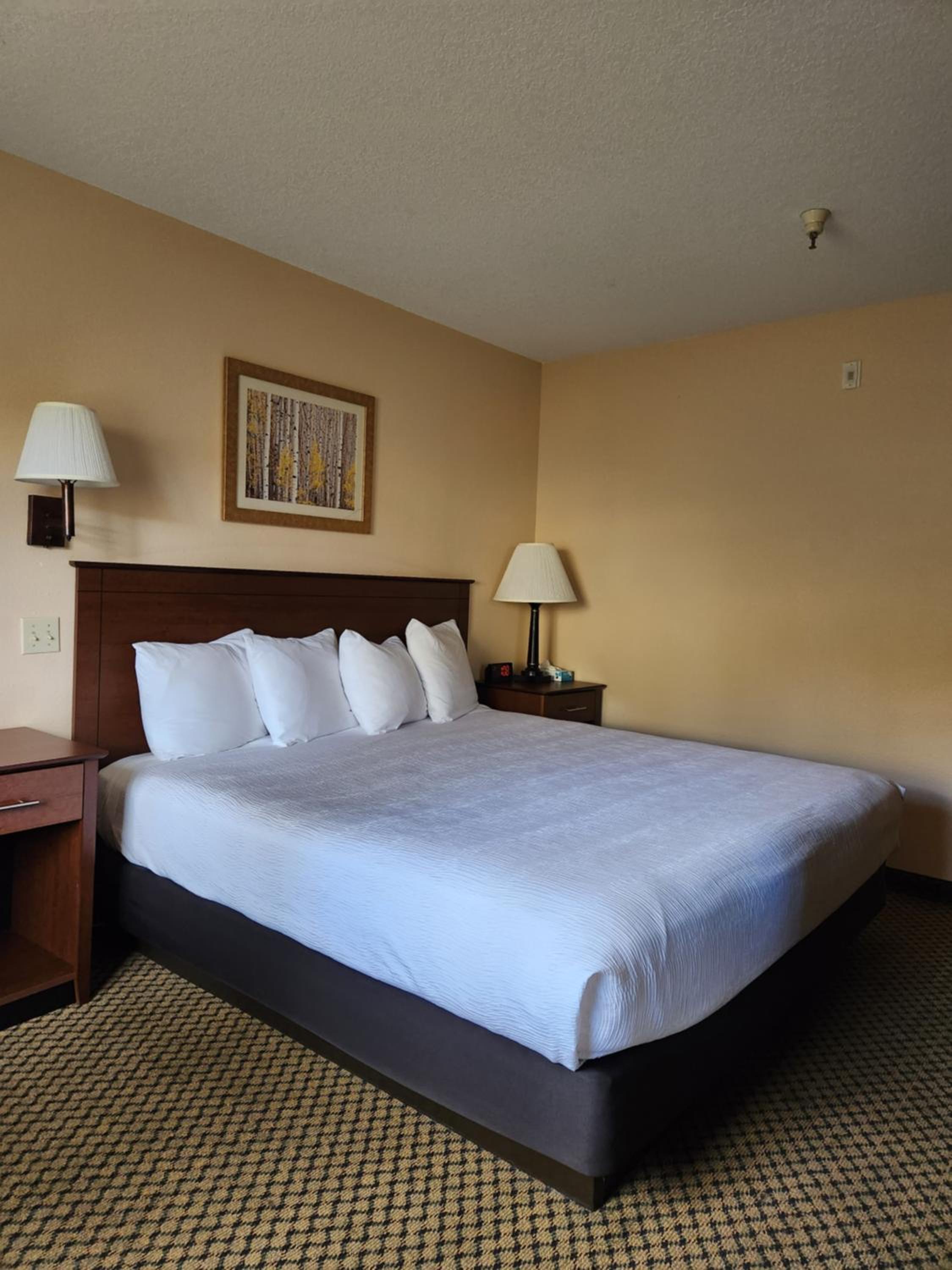Standard King Room - Photo 3