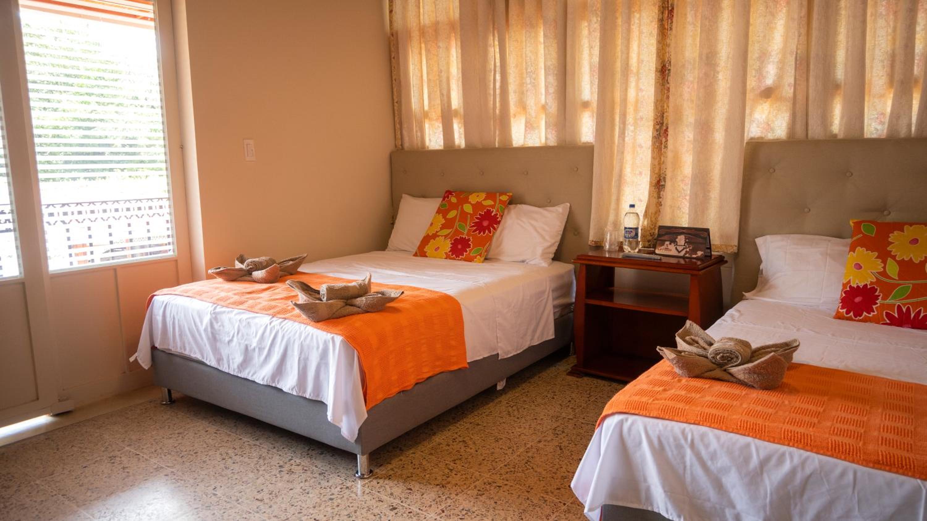 Twin Room photo 1