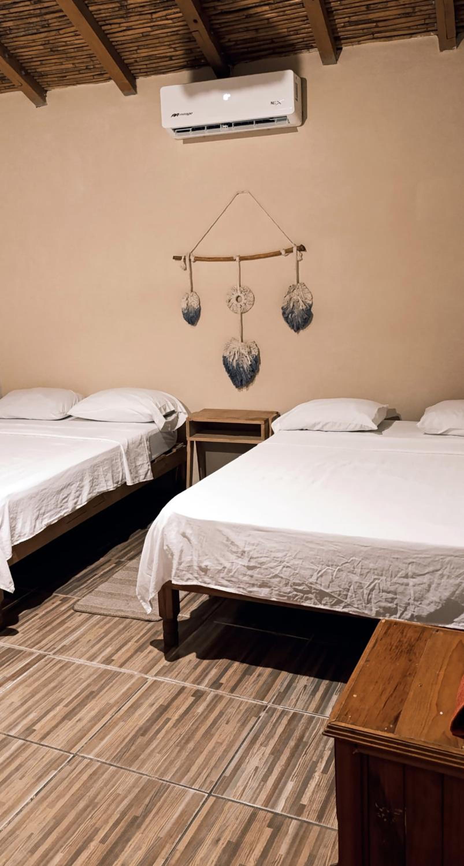 Twin Room photo 1