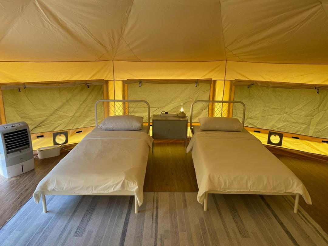 Mogul Tent photo 3