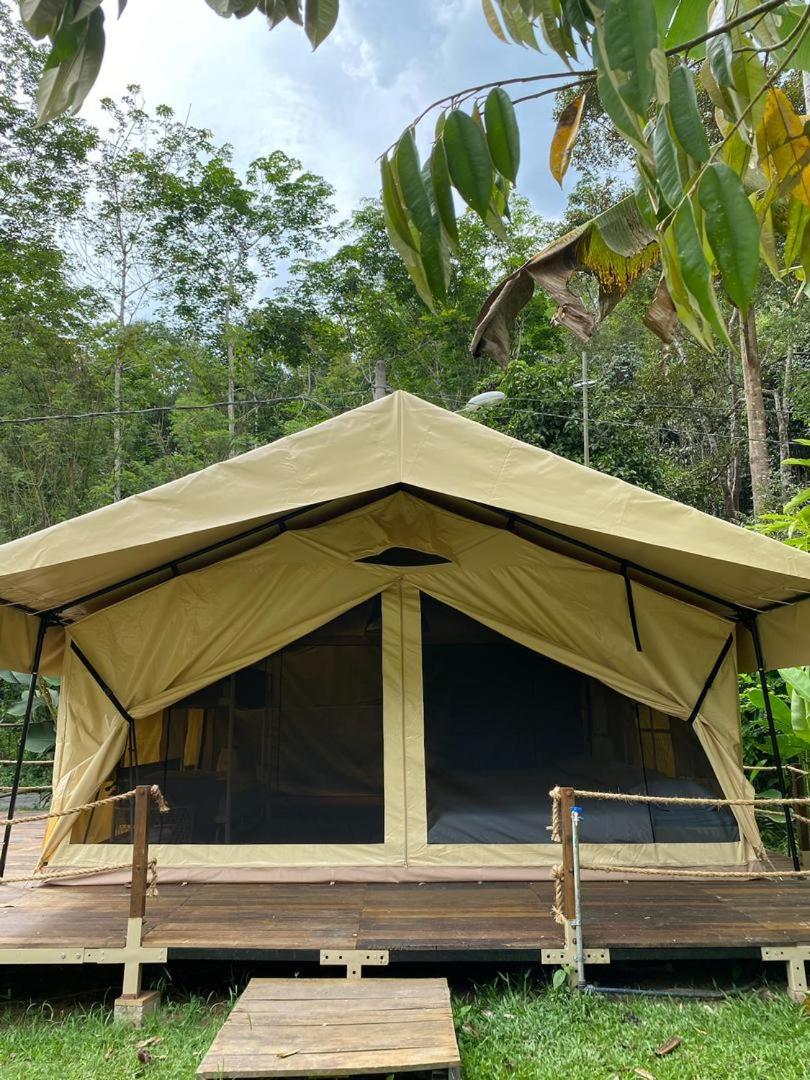 Safari Standard Tent photo 3